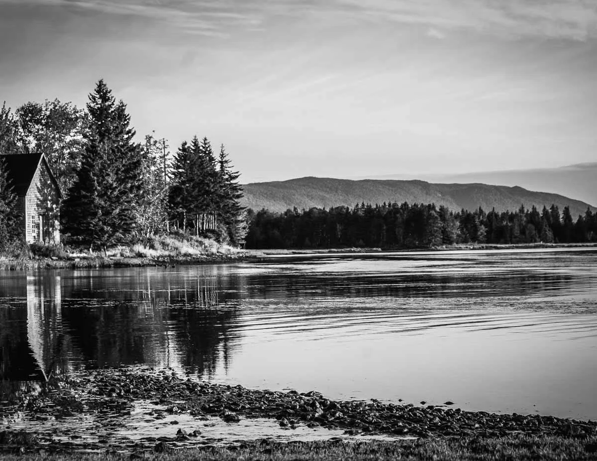 BW - River Bennett.jpg