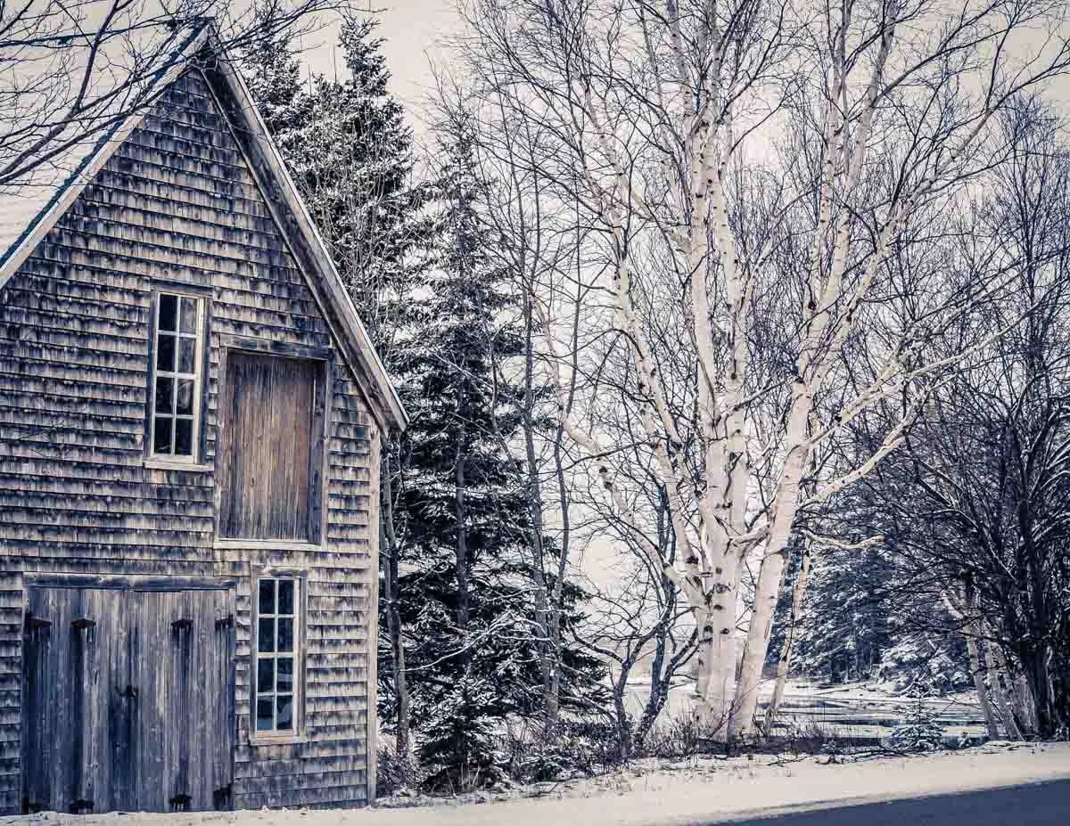 Winter Barn.jpg