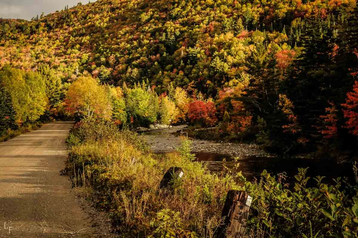 Autumn Splendour.jpg