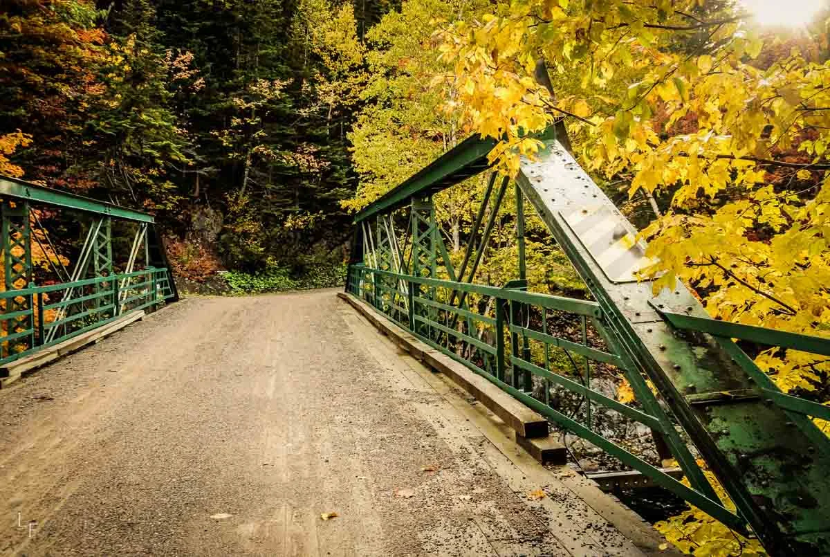 Bridge to Autumn.jpg
