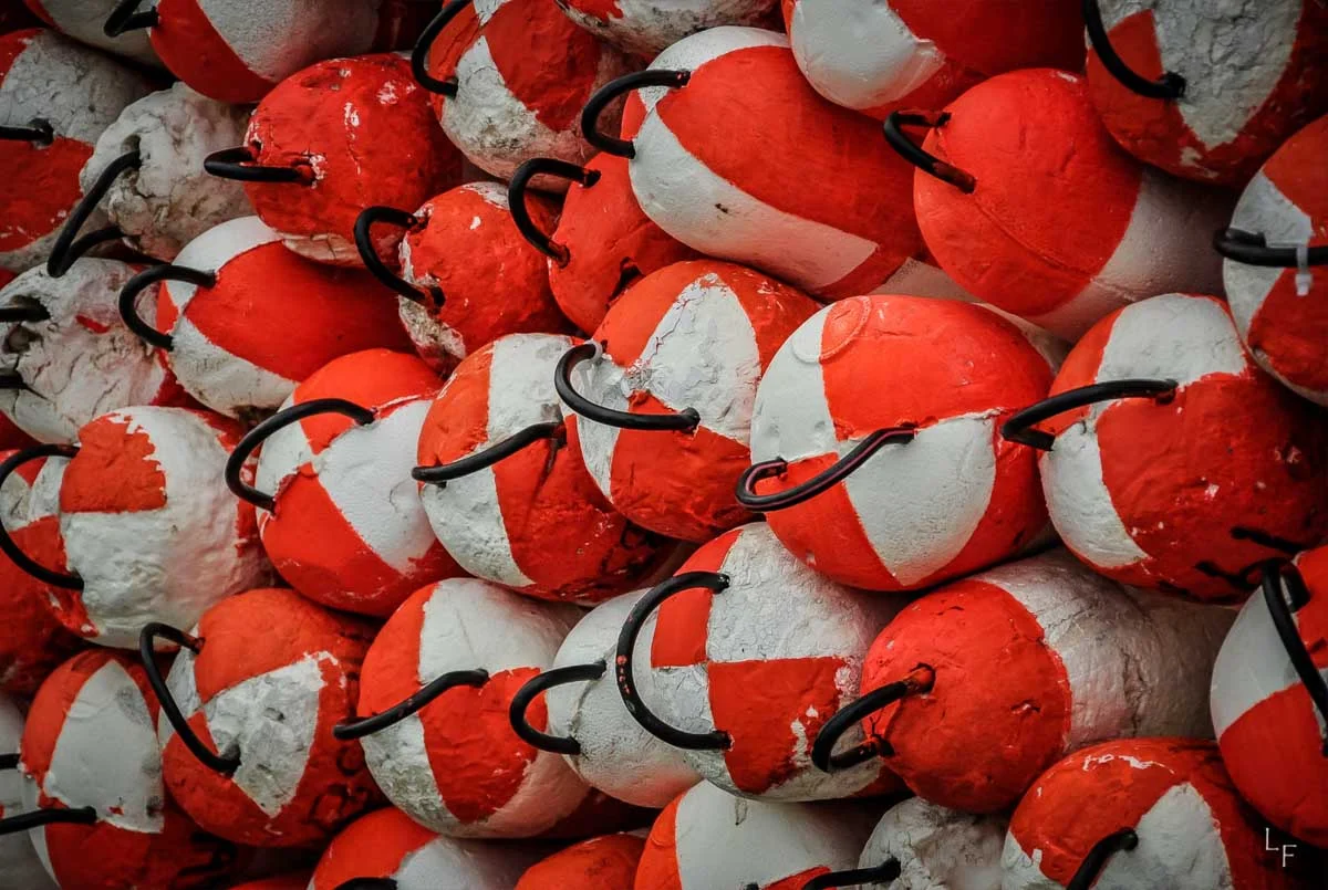 Buoys Oh Buoys.jpg