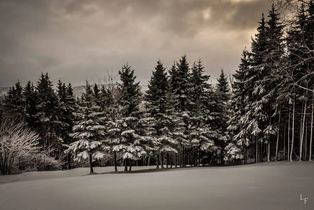 Winter Grey.jpg