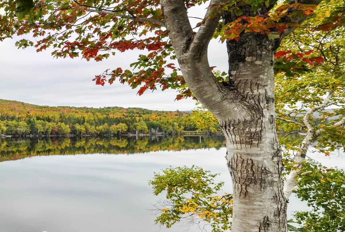 Fabulous Fall.jpg