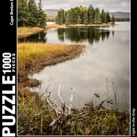 Light in the Grey-thumb.jpg