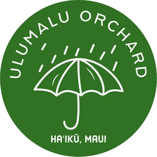 ulumalu orchard.jpeg