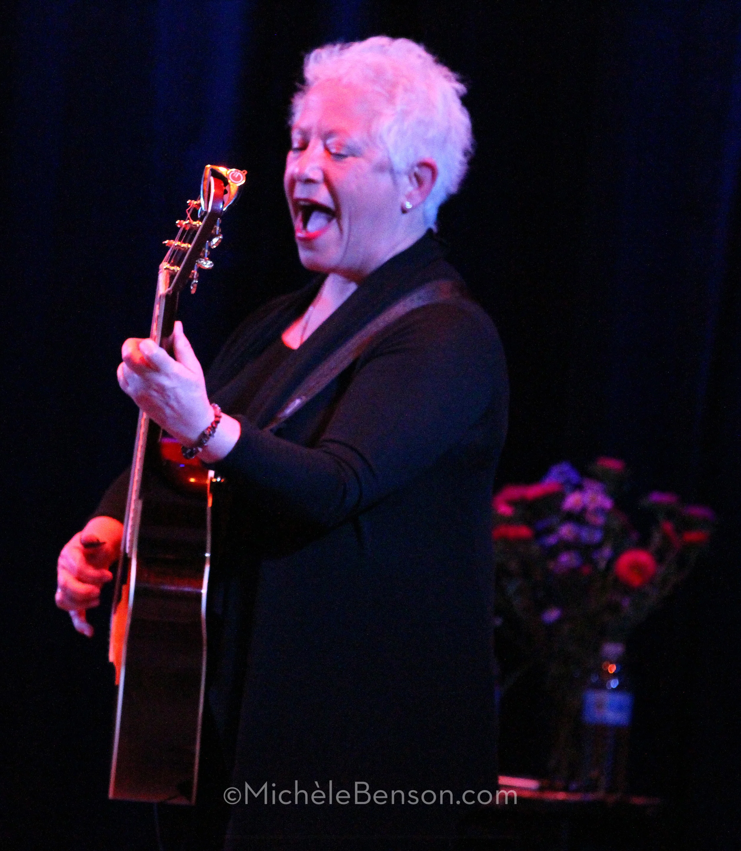 Janis Ian Rio Theatre 3.31.13IMG_9254