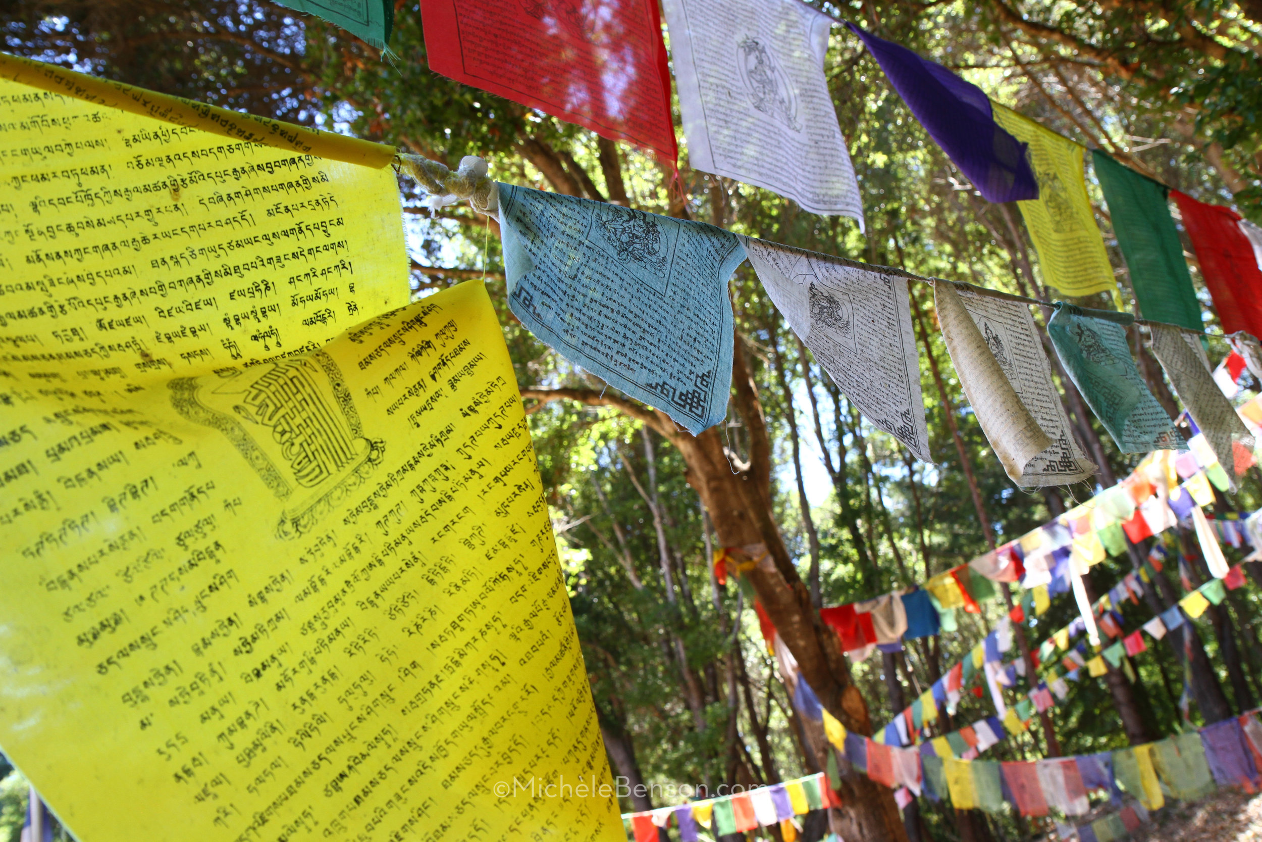 Air--Medicine-Buddha-Prayer-Flags-8.0-IMG_2804-watermarked.jpg
