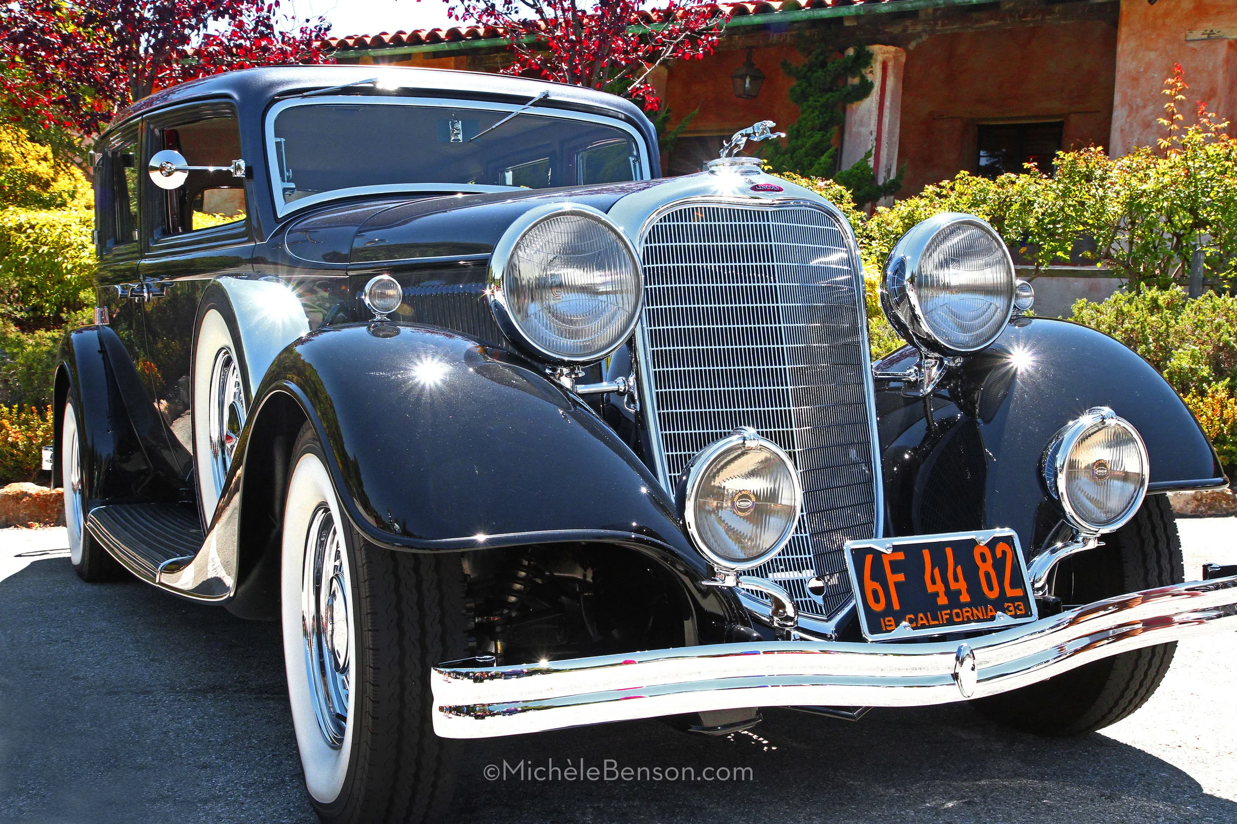 IMG_0590_MR-watermarked.jpg