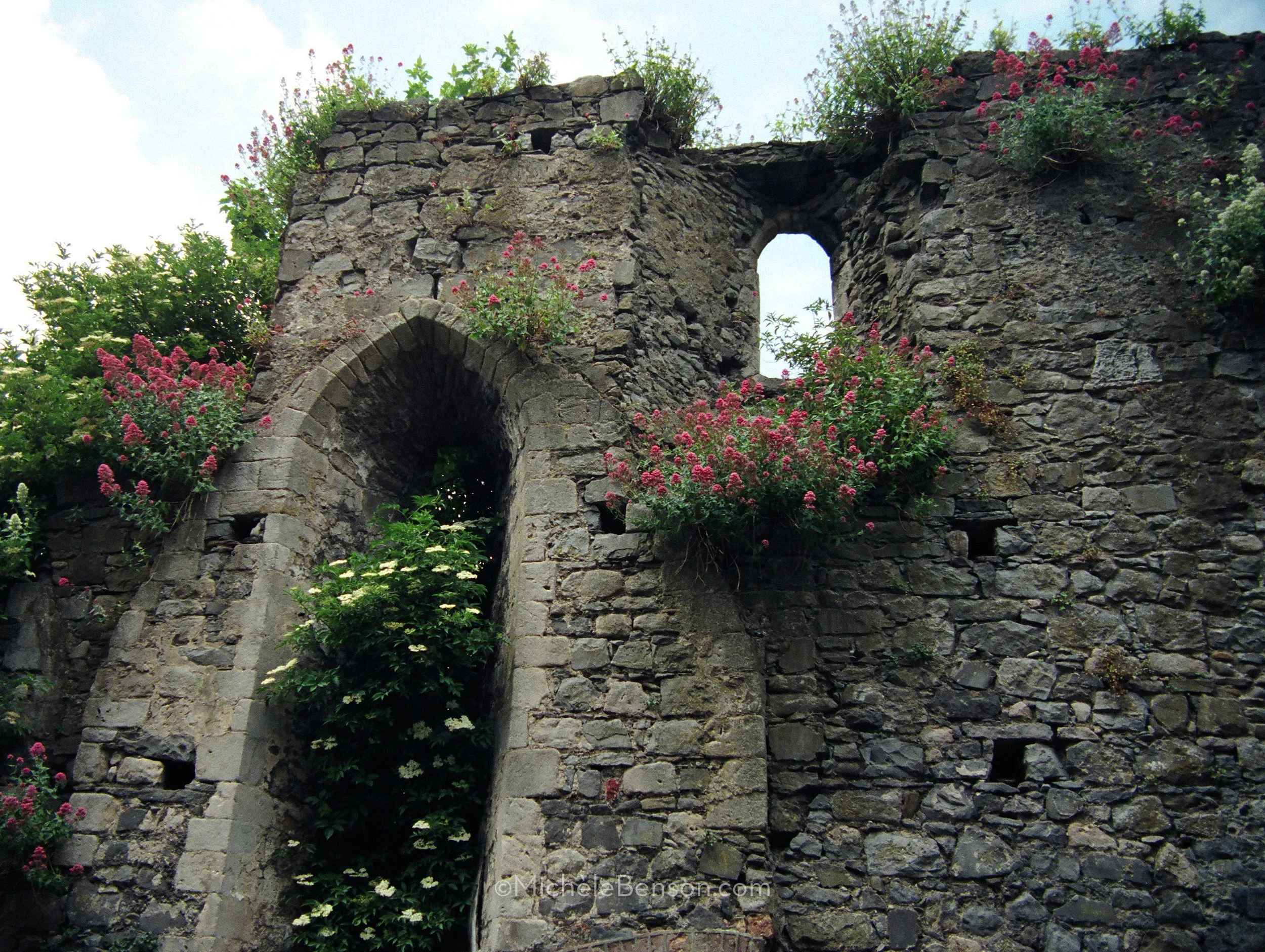 Irish-Celtic-Castle-83820017-watermarked.jpg