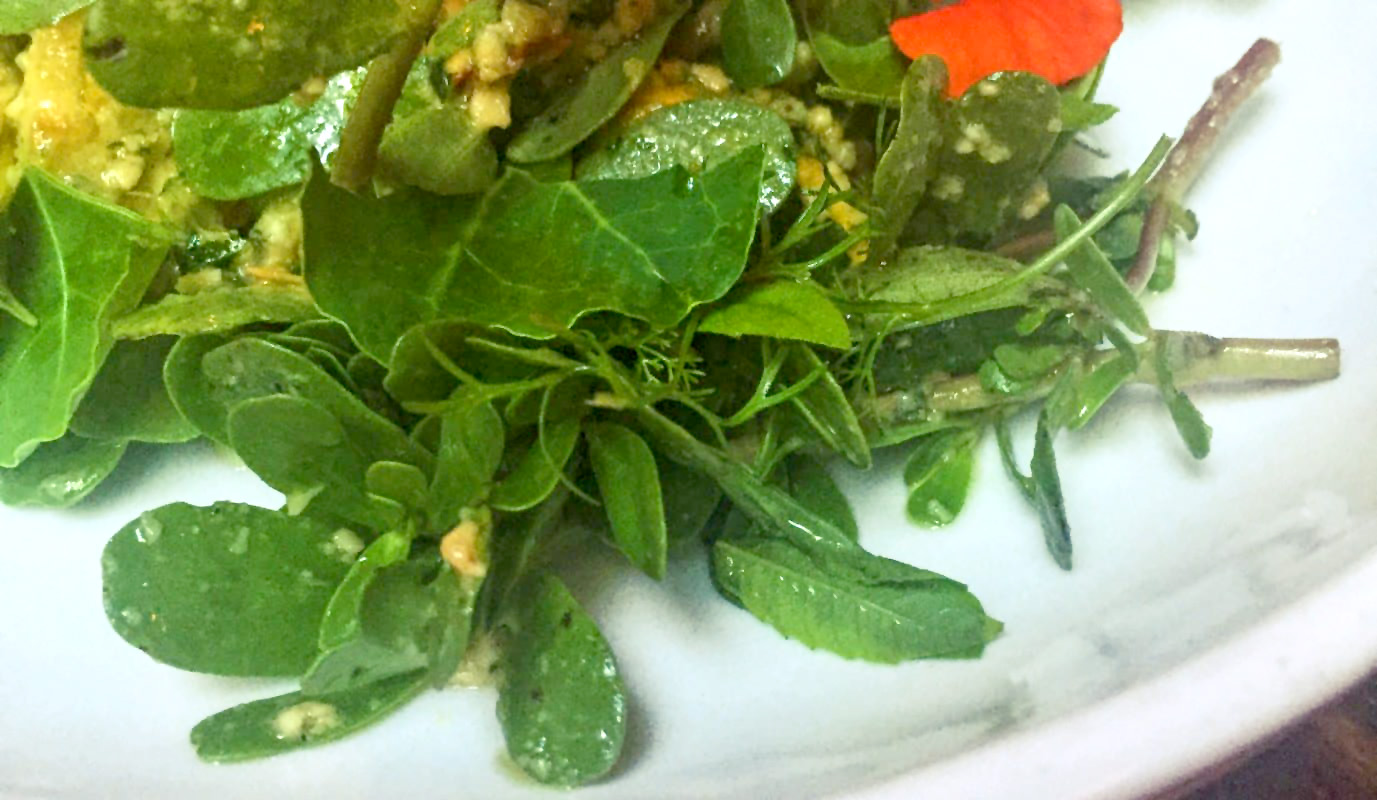 Cashew and lemon pesto on salad