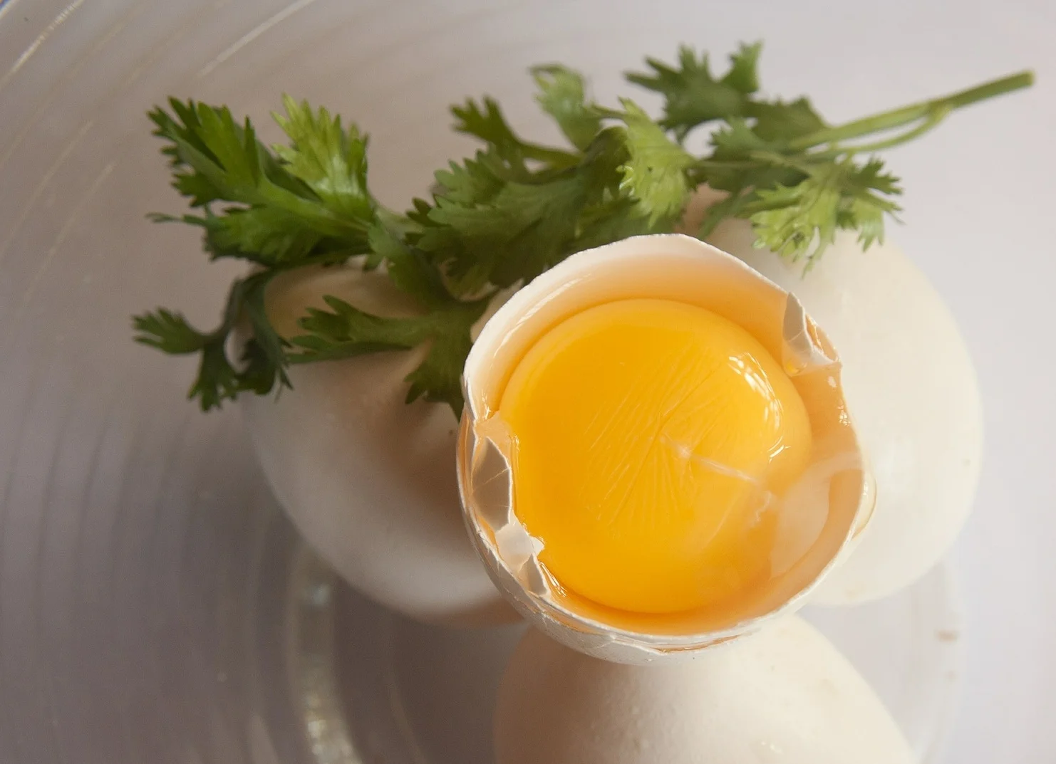 Egg yolk in its shell