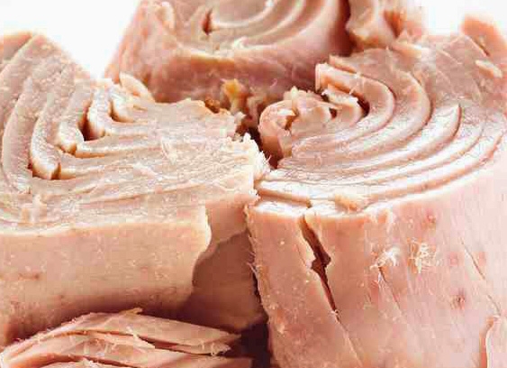preserved tuna fish