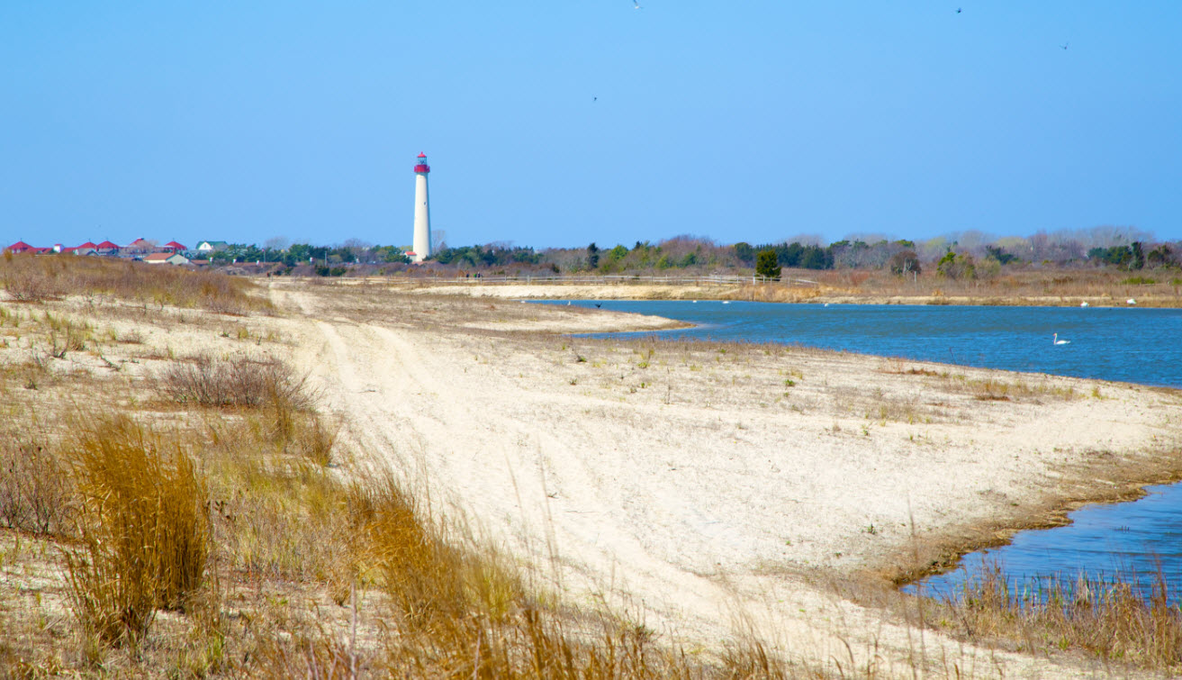 The Ultimate Cape May Beach Guide