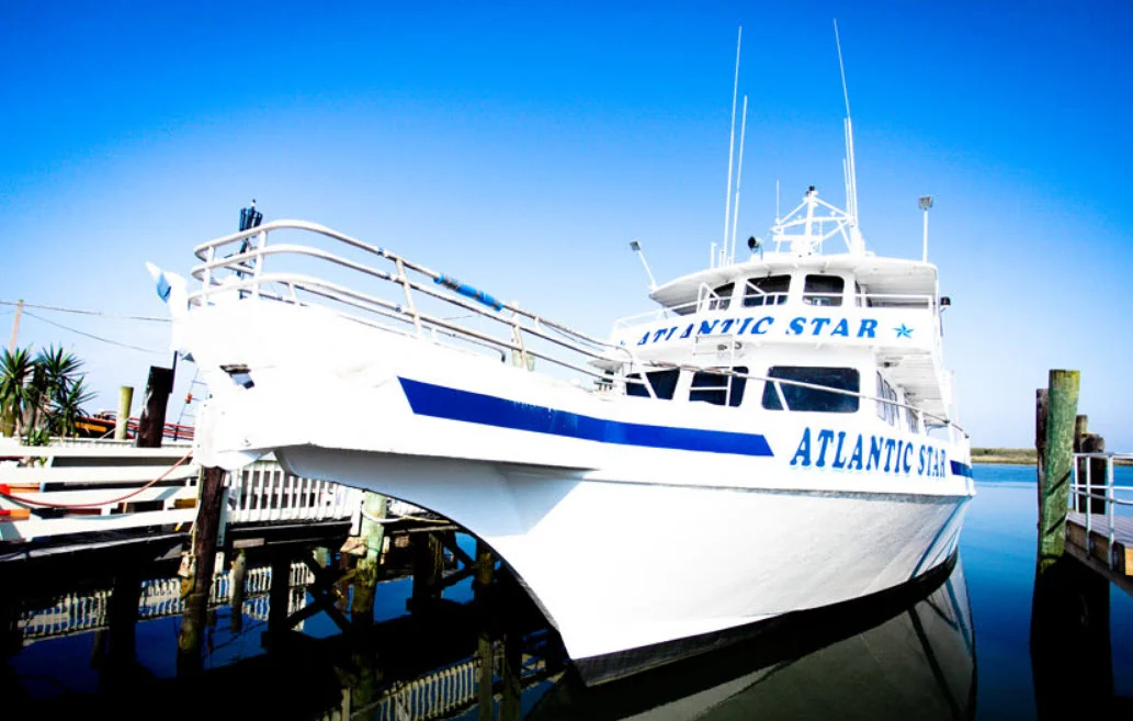 Top 3 Best Cape May Fishing Charters &amp; Tours 