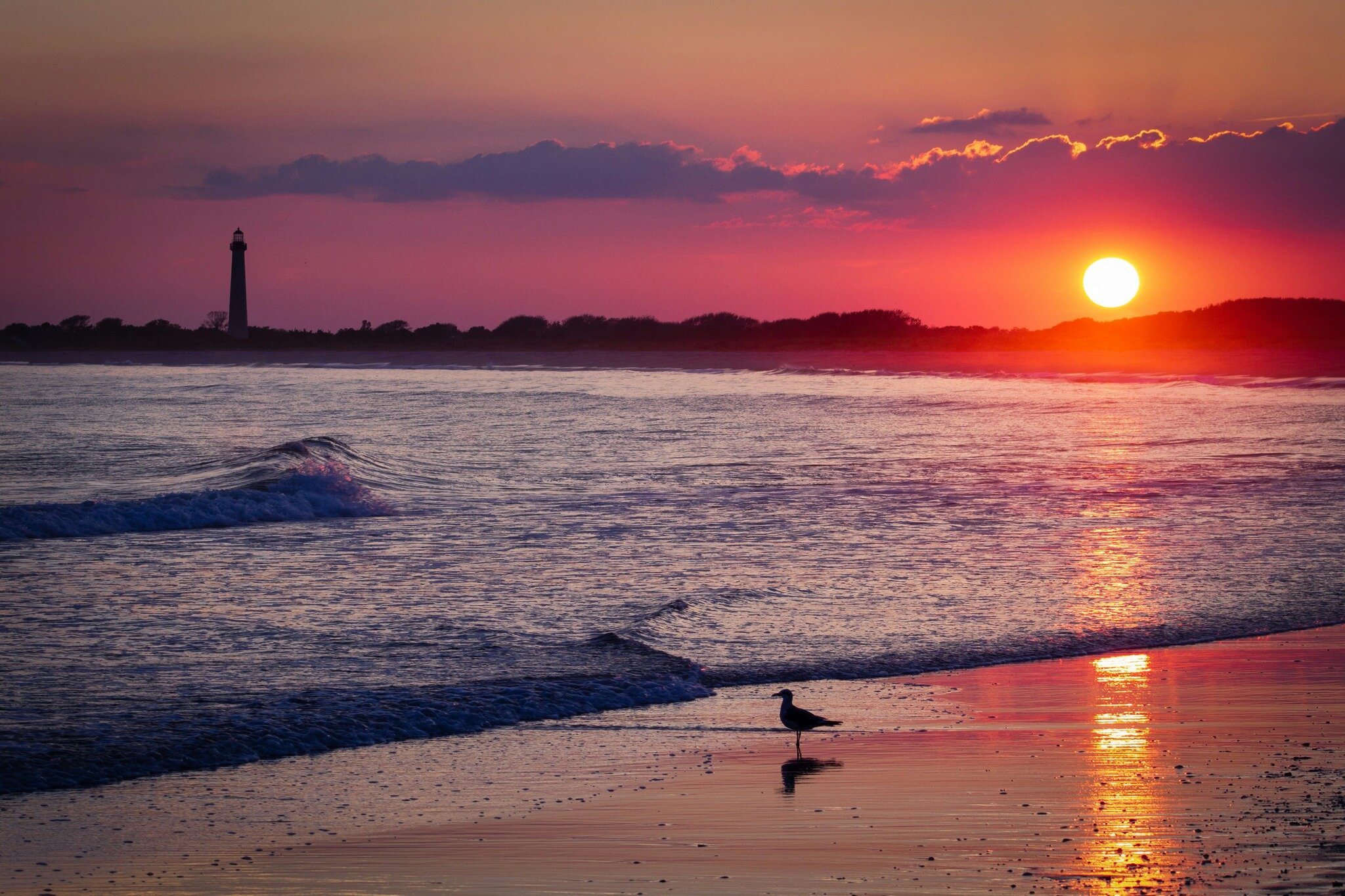 Picture-perfect sunsets, sandy toes, and salty breezes await at our Cape May Beach House rentals. Who is in need of a beach retreat?

#CapeMayMagic #CoastalComforts #BookNow #CapeMay #CapeMayBeachHouse #JerseyShore #BeachRental #BookNow