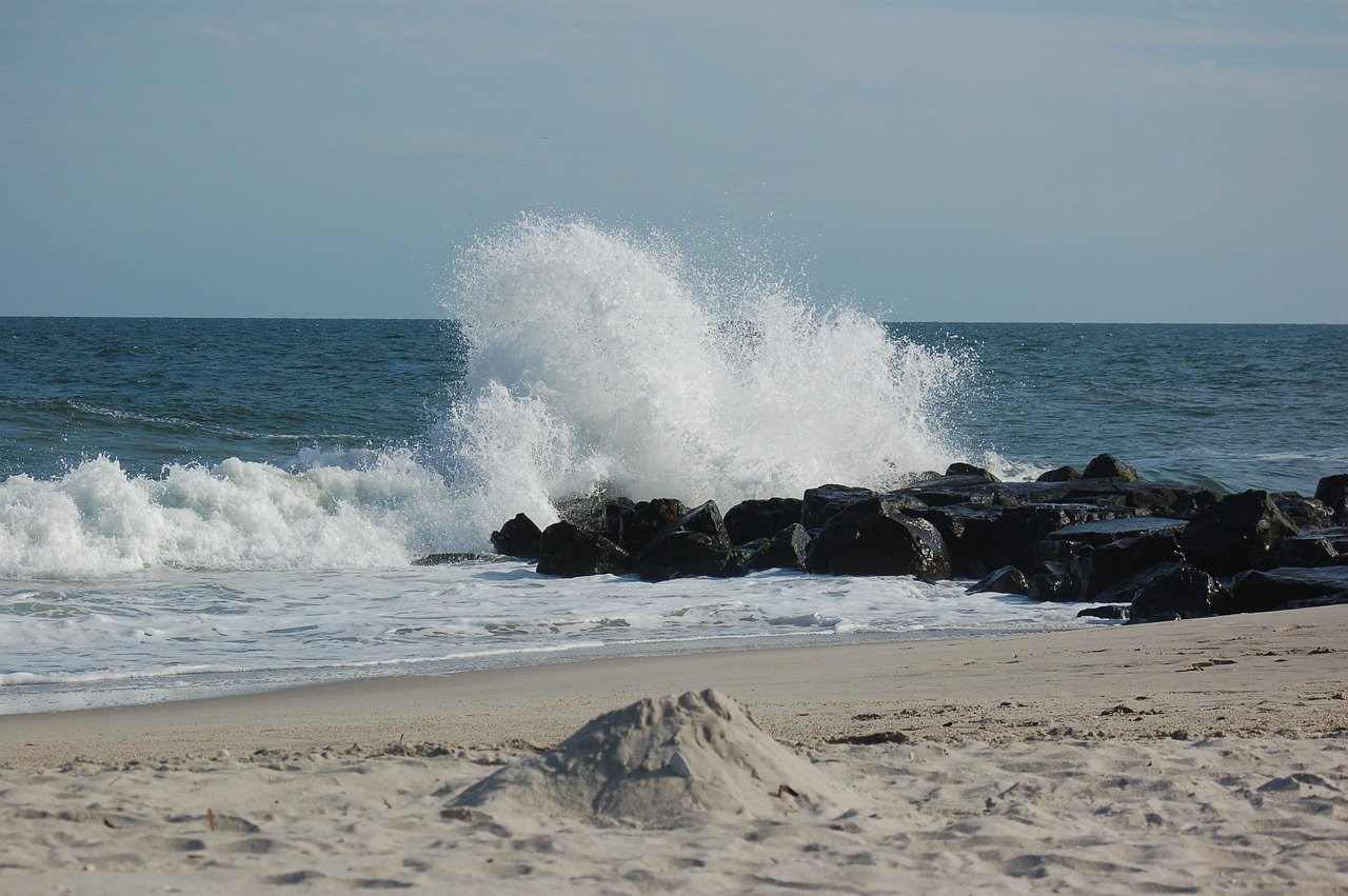Happy Earth Day from the shores of Cape May! 🌍 Let's celebrate the beauty of our planet and the breathtaking natural wonders that surround us. How will you honor Mother Nature today? 🌊🌿 #EarthDay #CapeMayConservation #NatureLovers #CapeMay #CapeMa