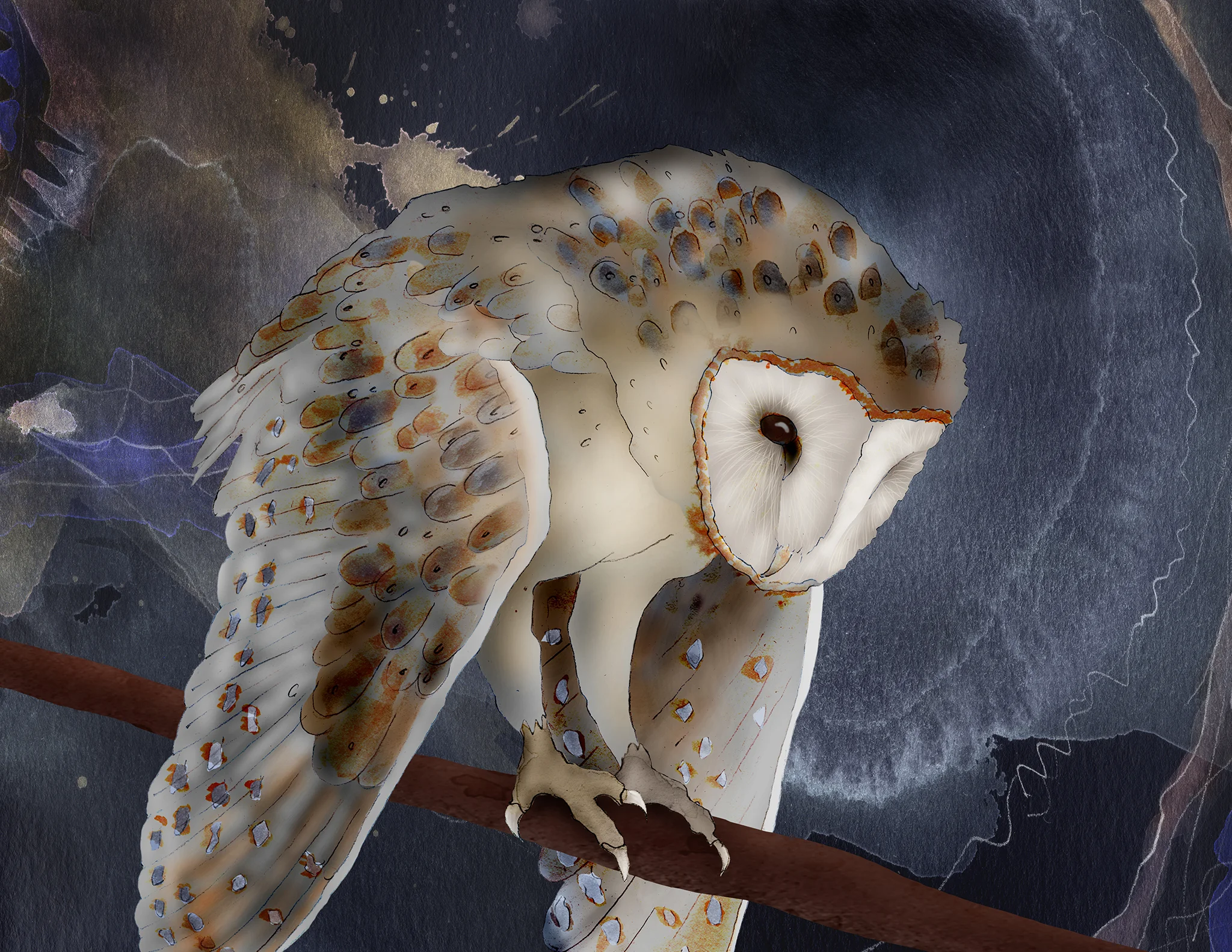 barn owl 22 flat.jpg