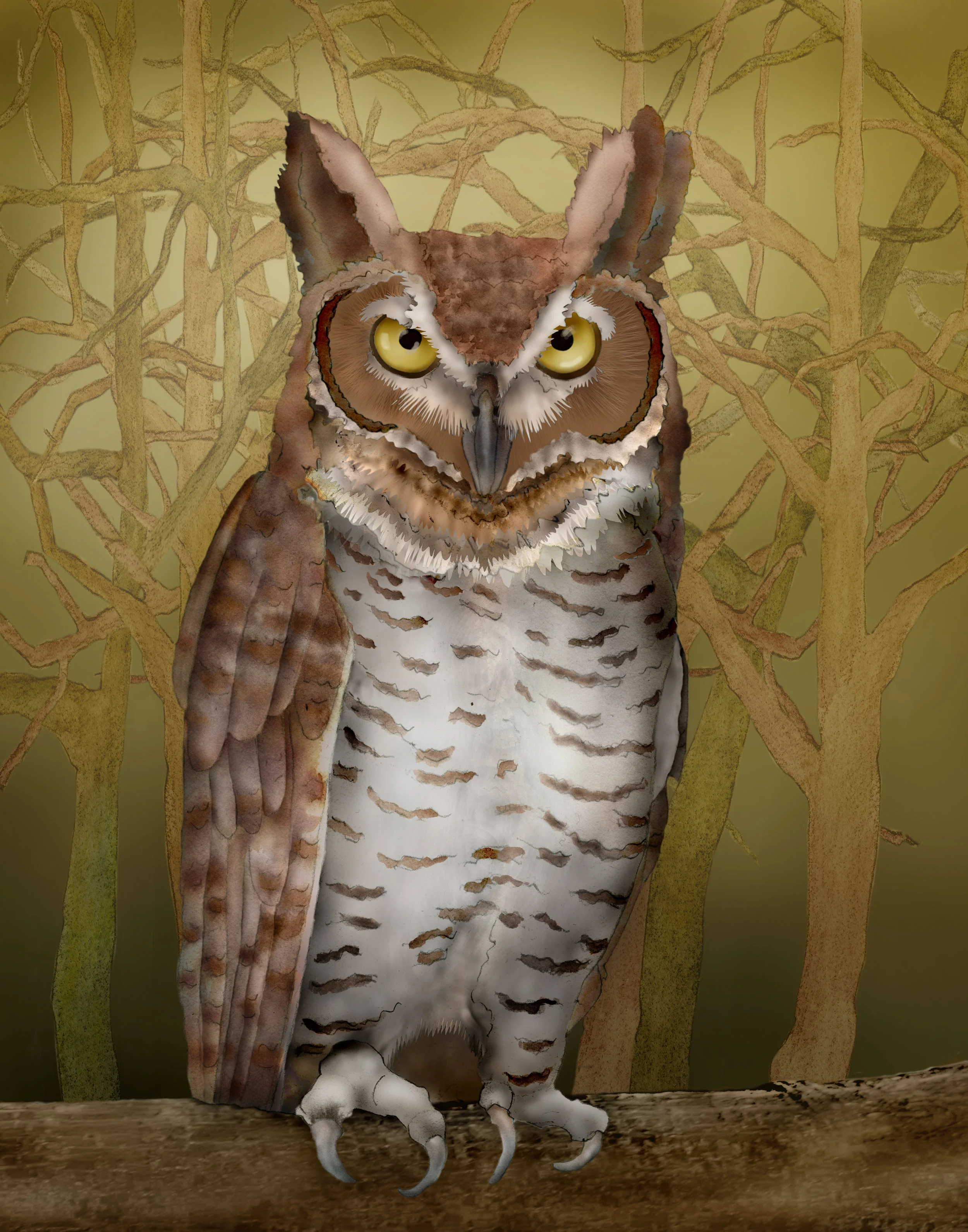 great horned 1.jpg