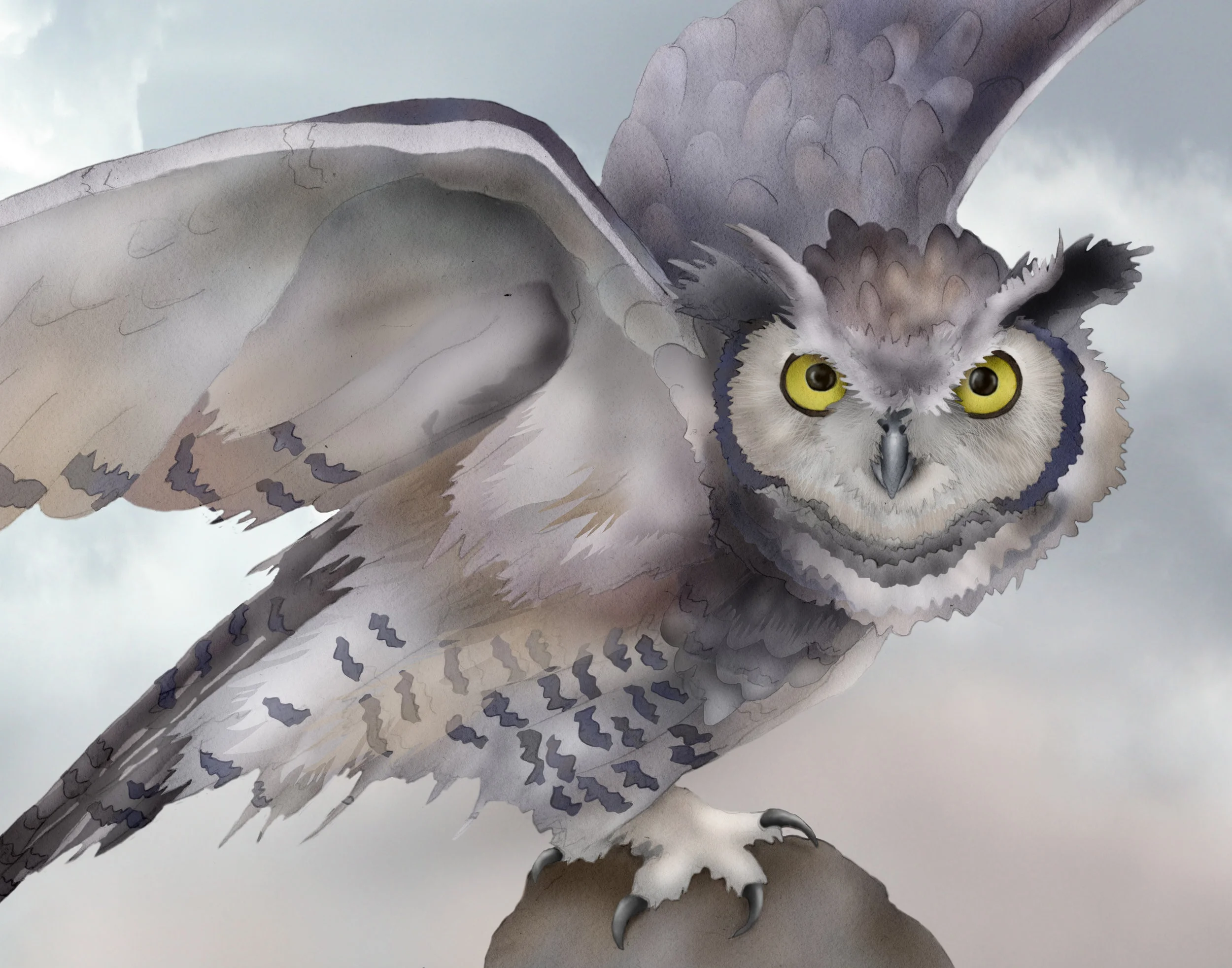 great horned owl 2.jpg