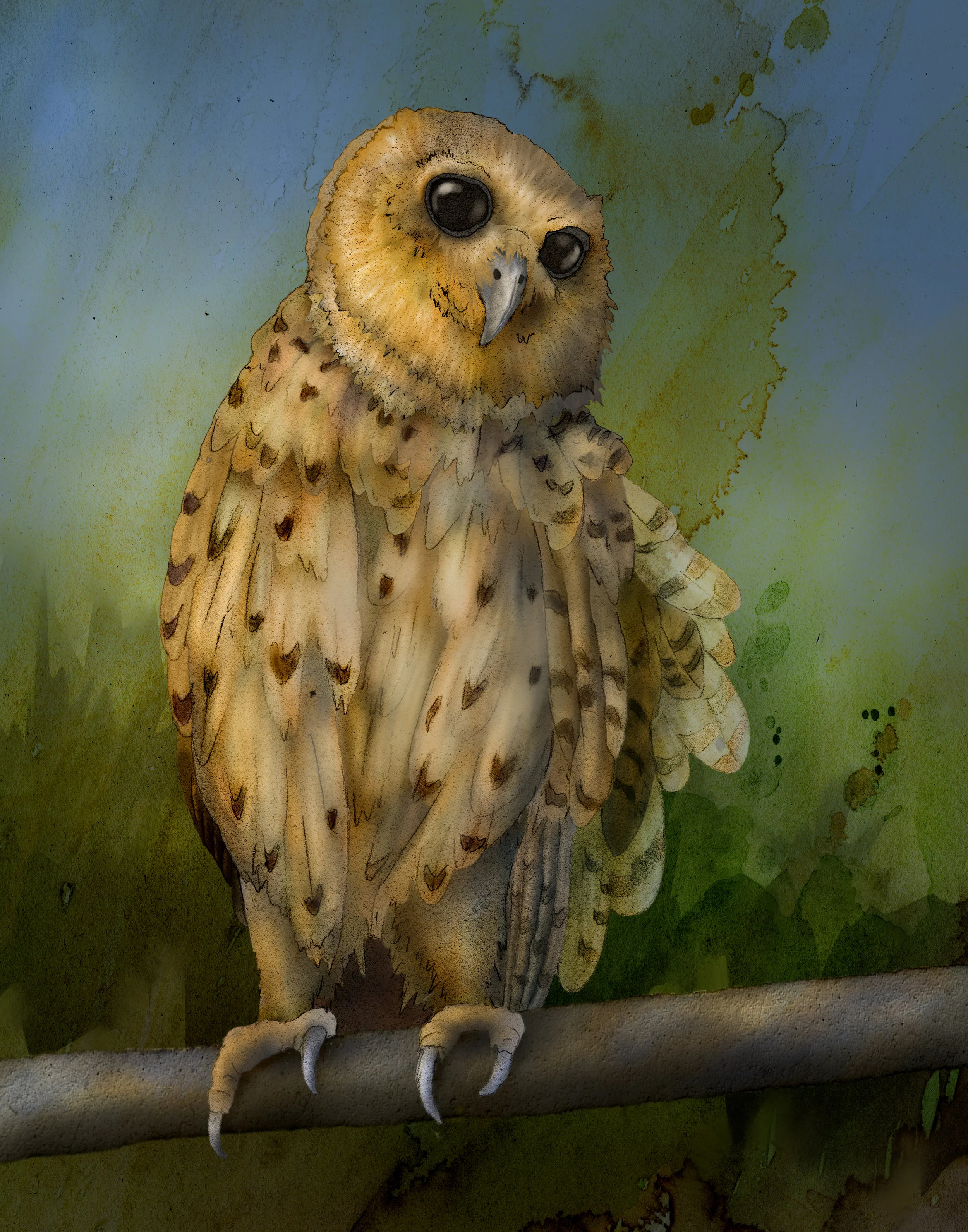 pels fishing owl.jpg