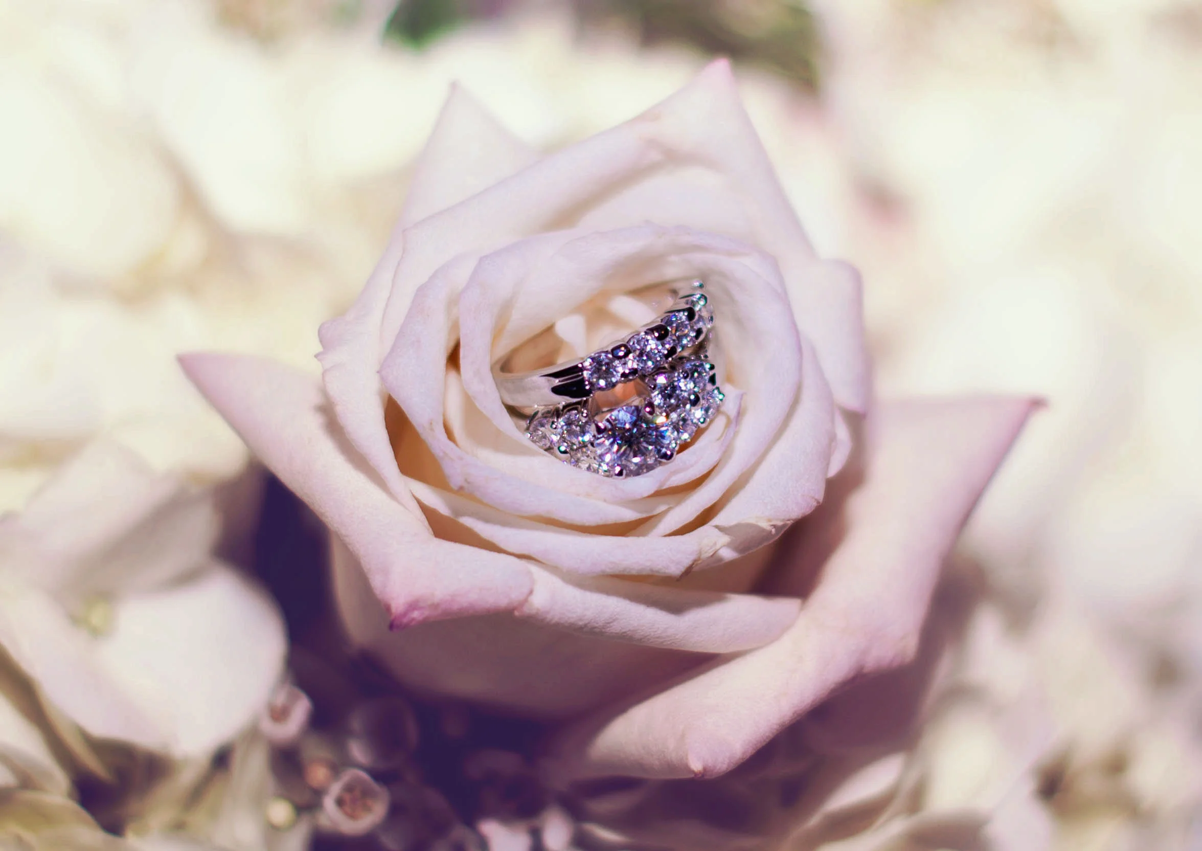 GreeneWedding-.jpg
