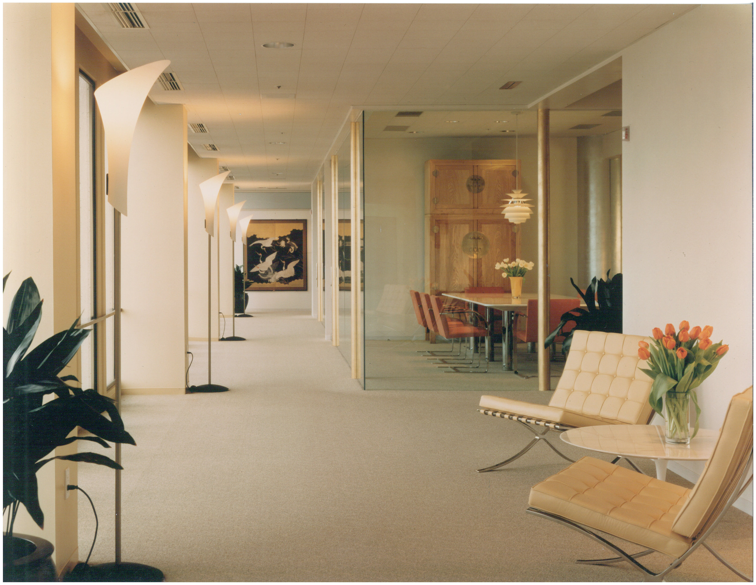 Steefel1-copy.jpg