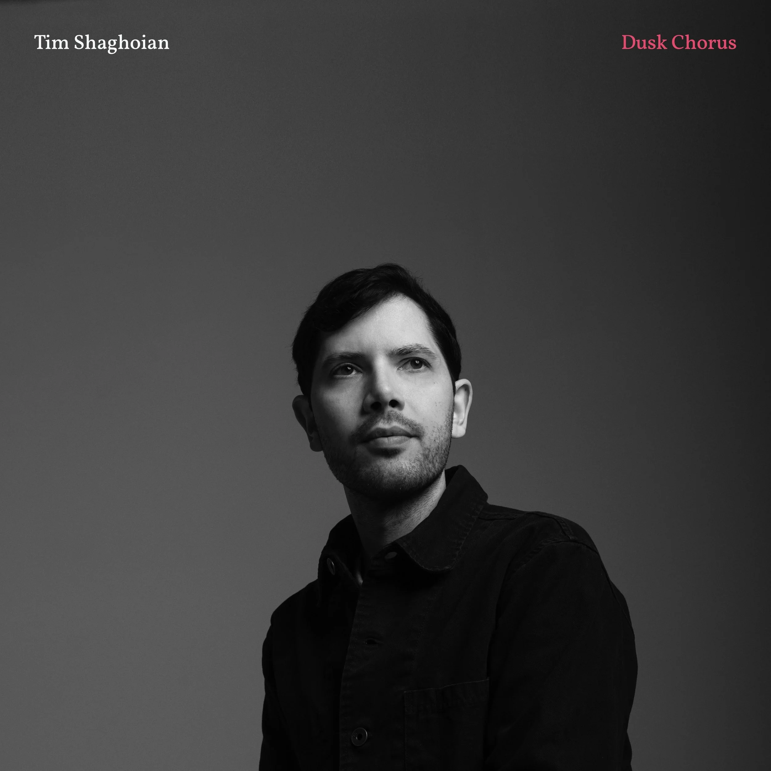 Dusk Chorus: Hidden in Plain Sight