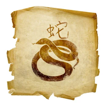 2013-year-of-the-snake.jpg