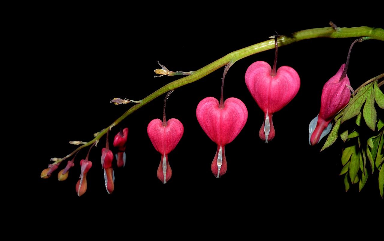 Reiki I Class on Saturday, February 28