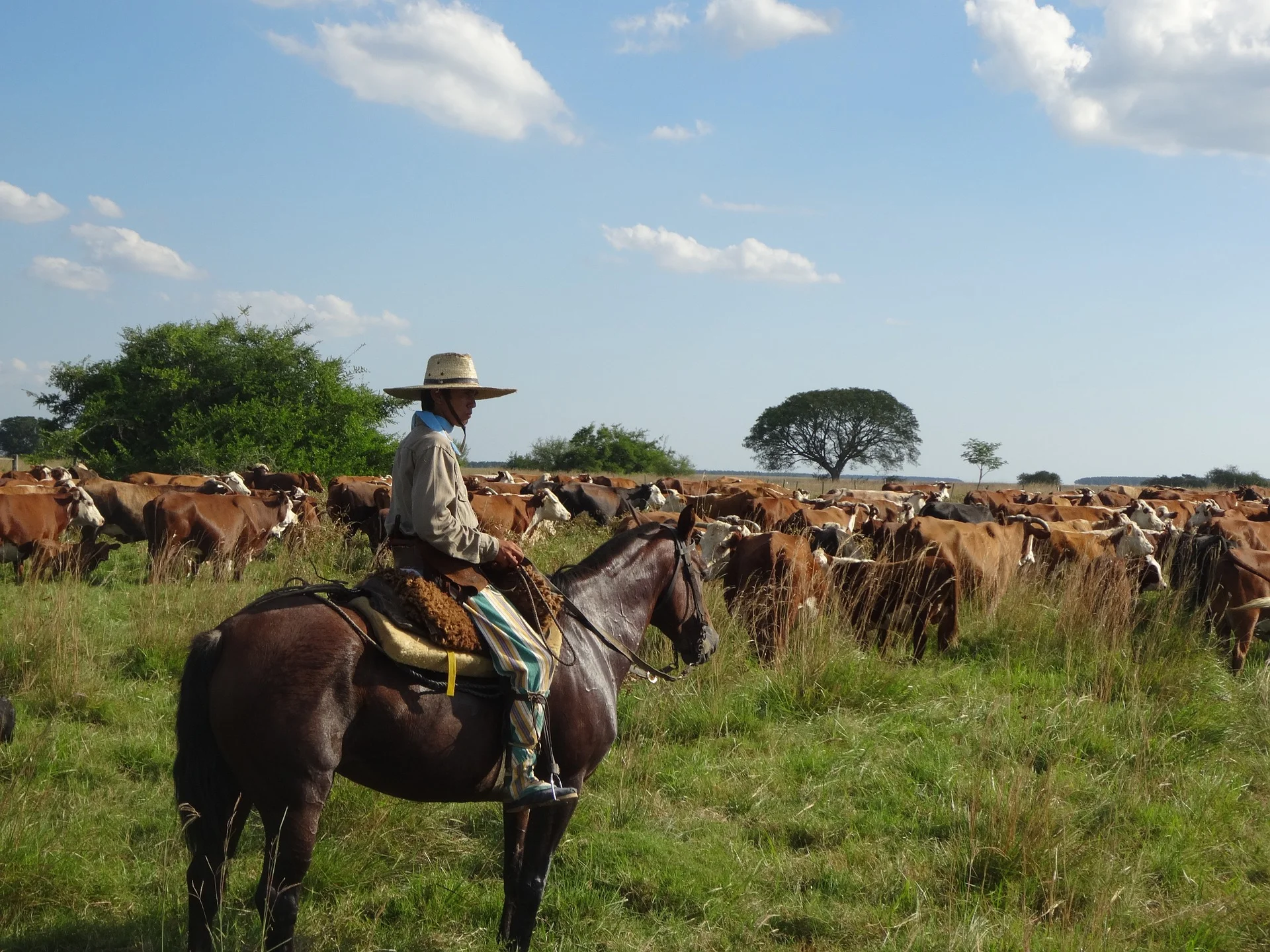 gaucho-1414772_1920.jpg