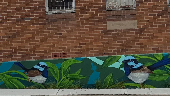 local-kids-help-inspire-bird-life-mural-on-callaghan-street.jpg