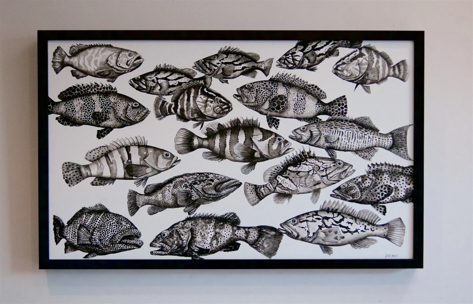 a gaggle of groper.jpg