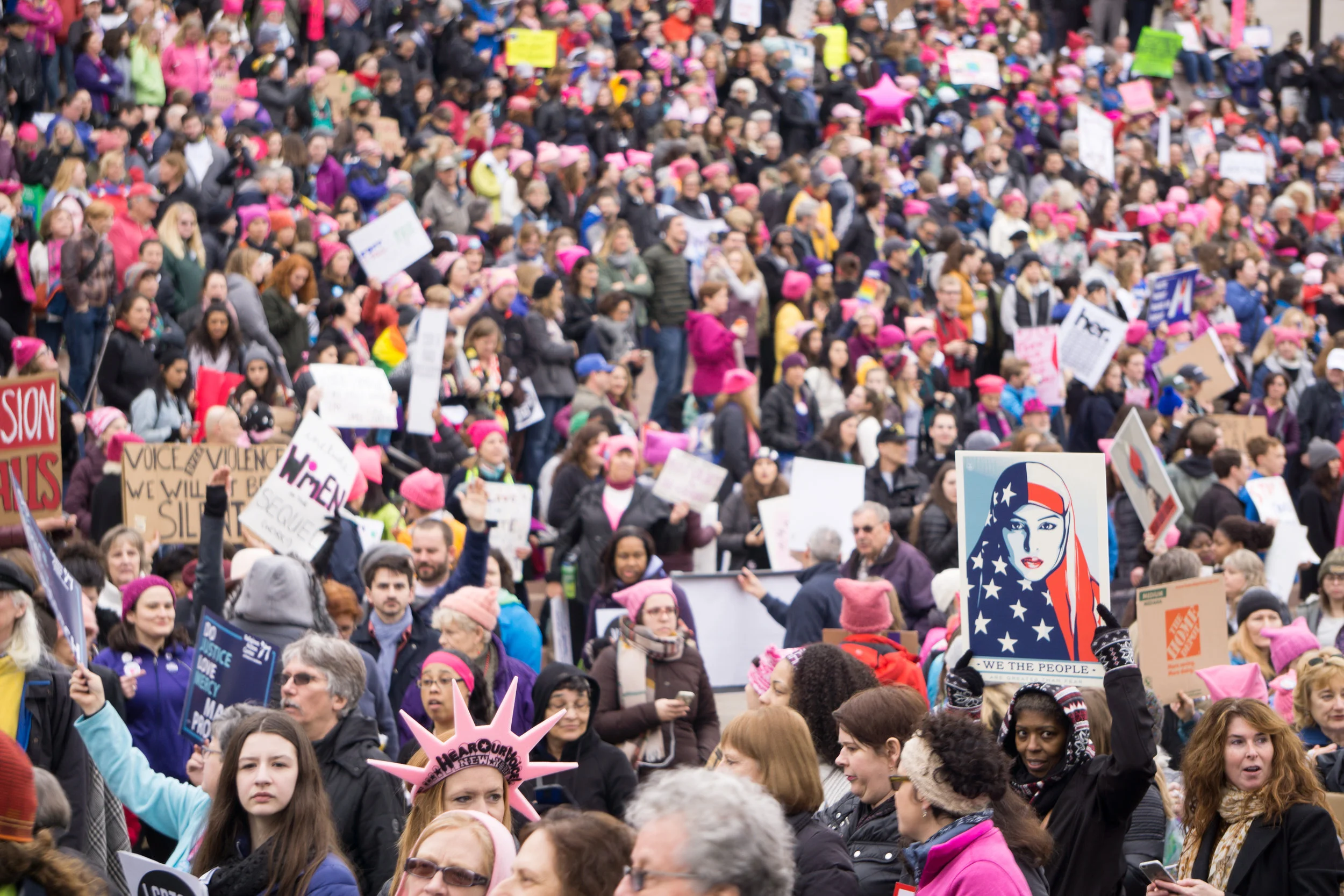  Official art for the Women's March on Washington by Shepard Fairey 