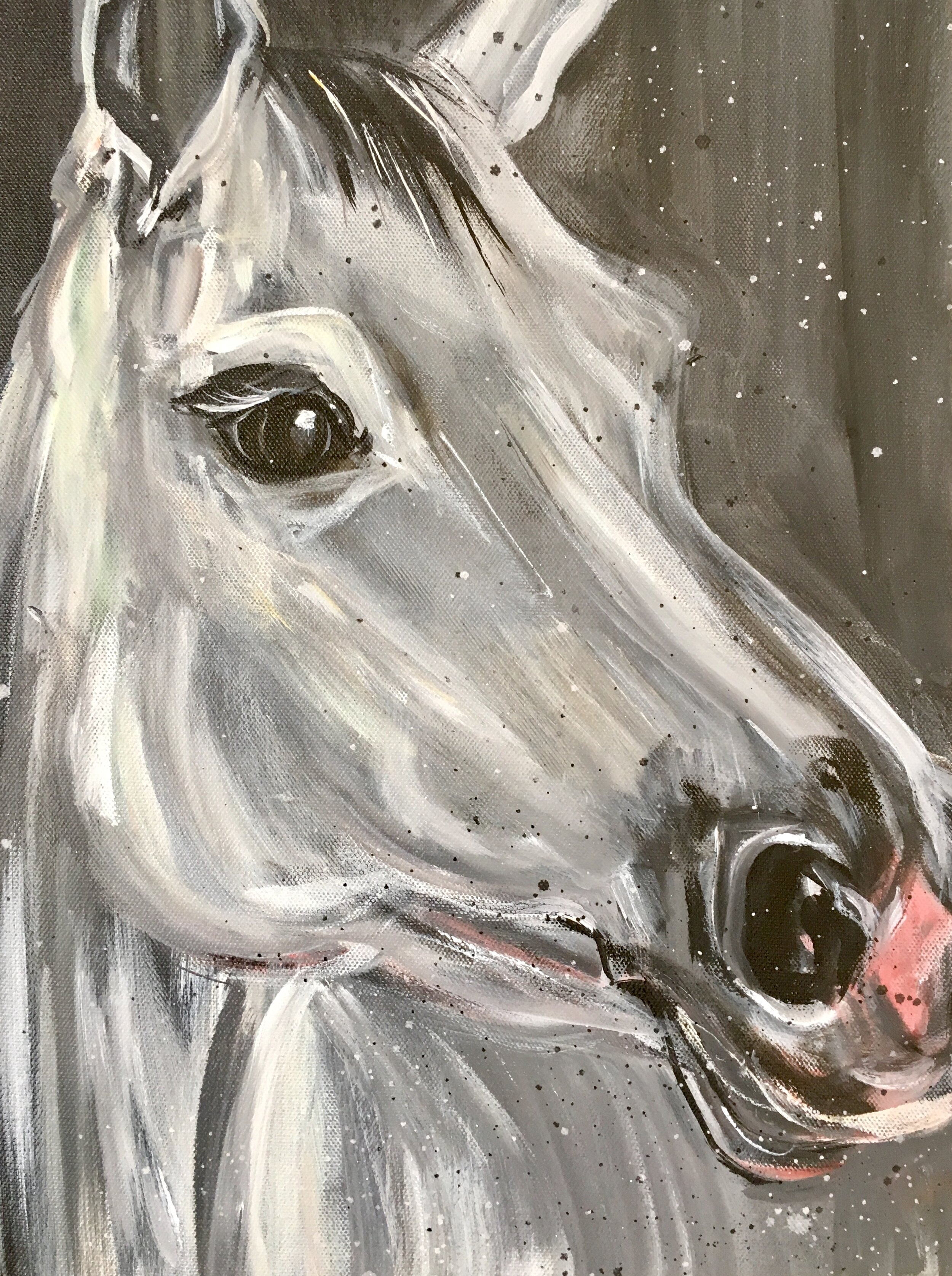 UpClose.MGStout.horseportrait.jpg