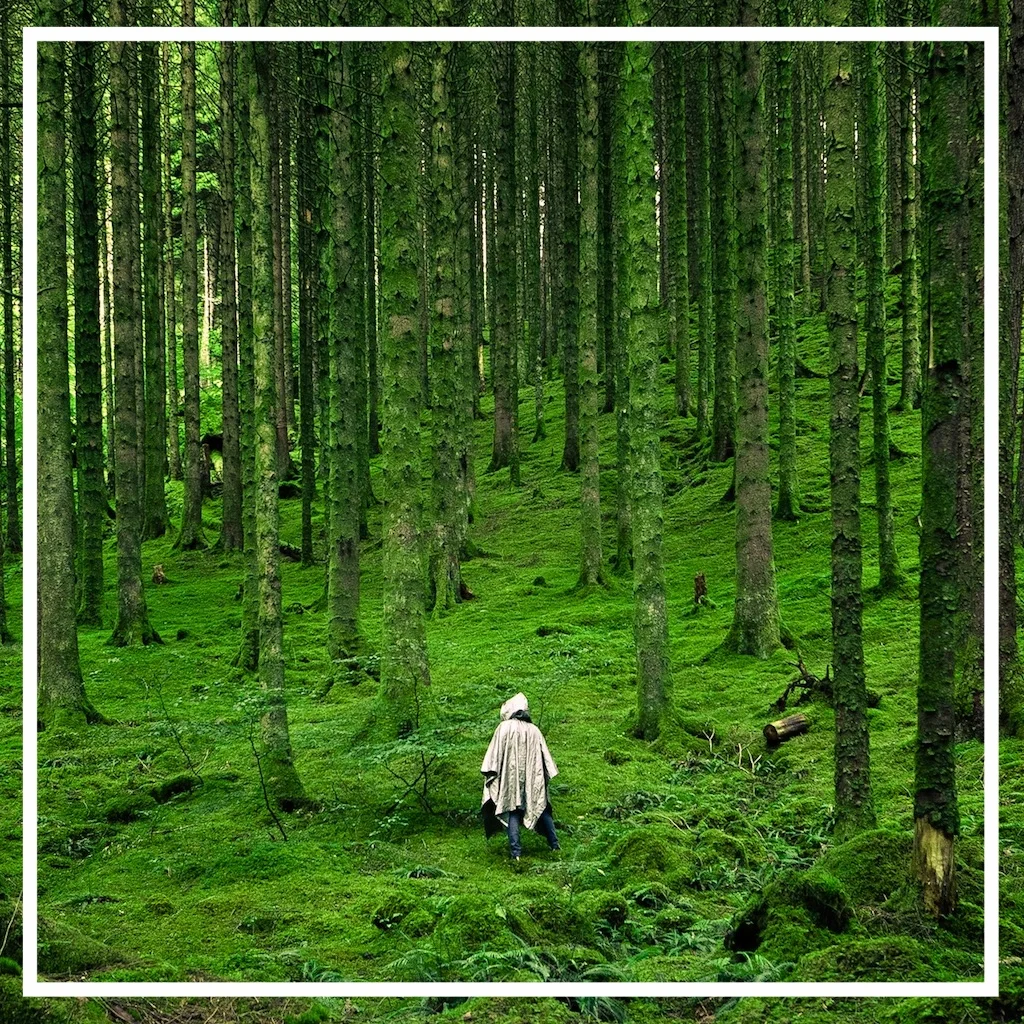 wanderer.jpg