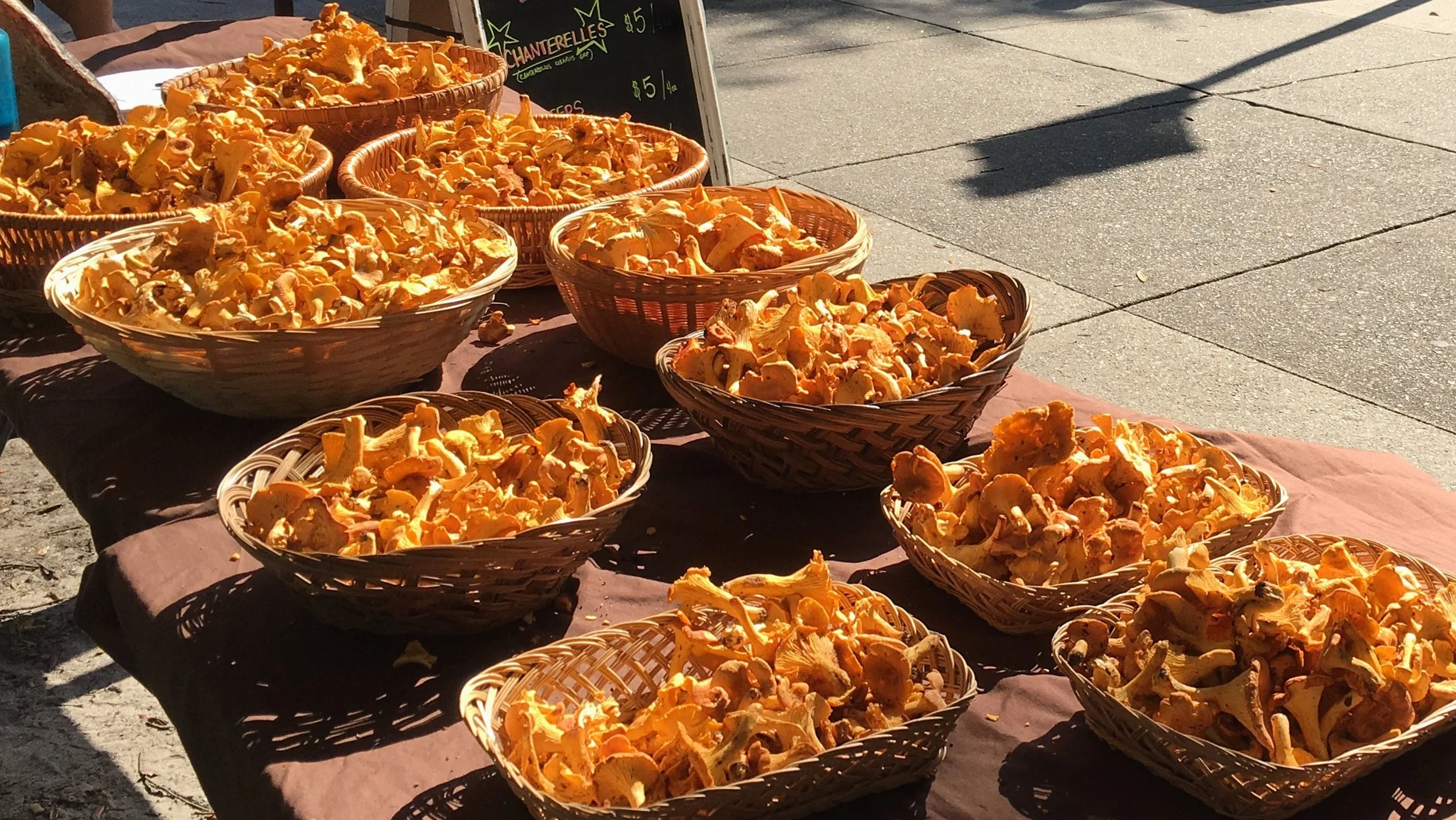 Some wild Chanterelles making it to the Forsyth Farmer's Market.