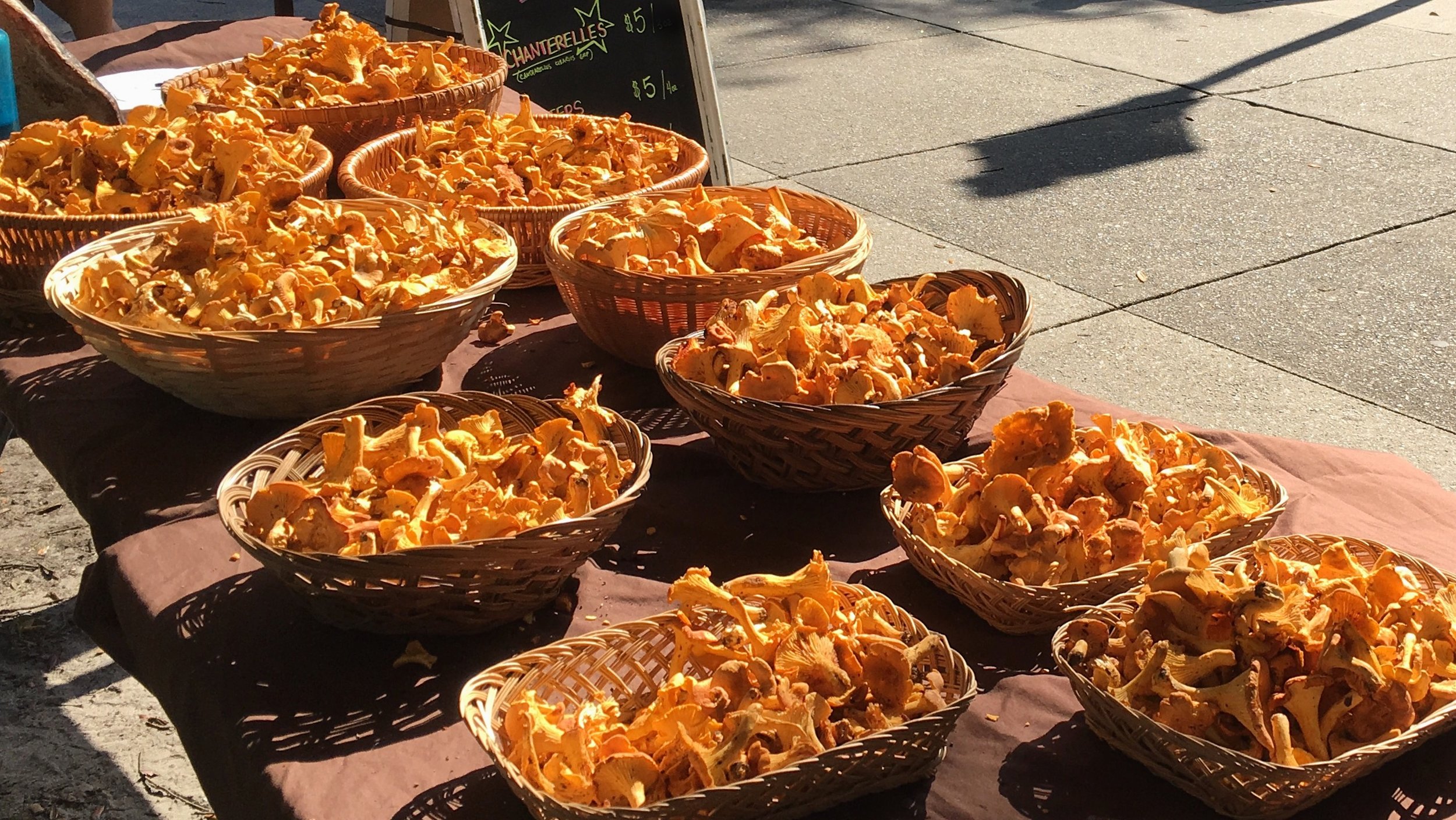 A nice spread of quality Chanterelles at the farmer's market.
