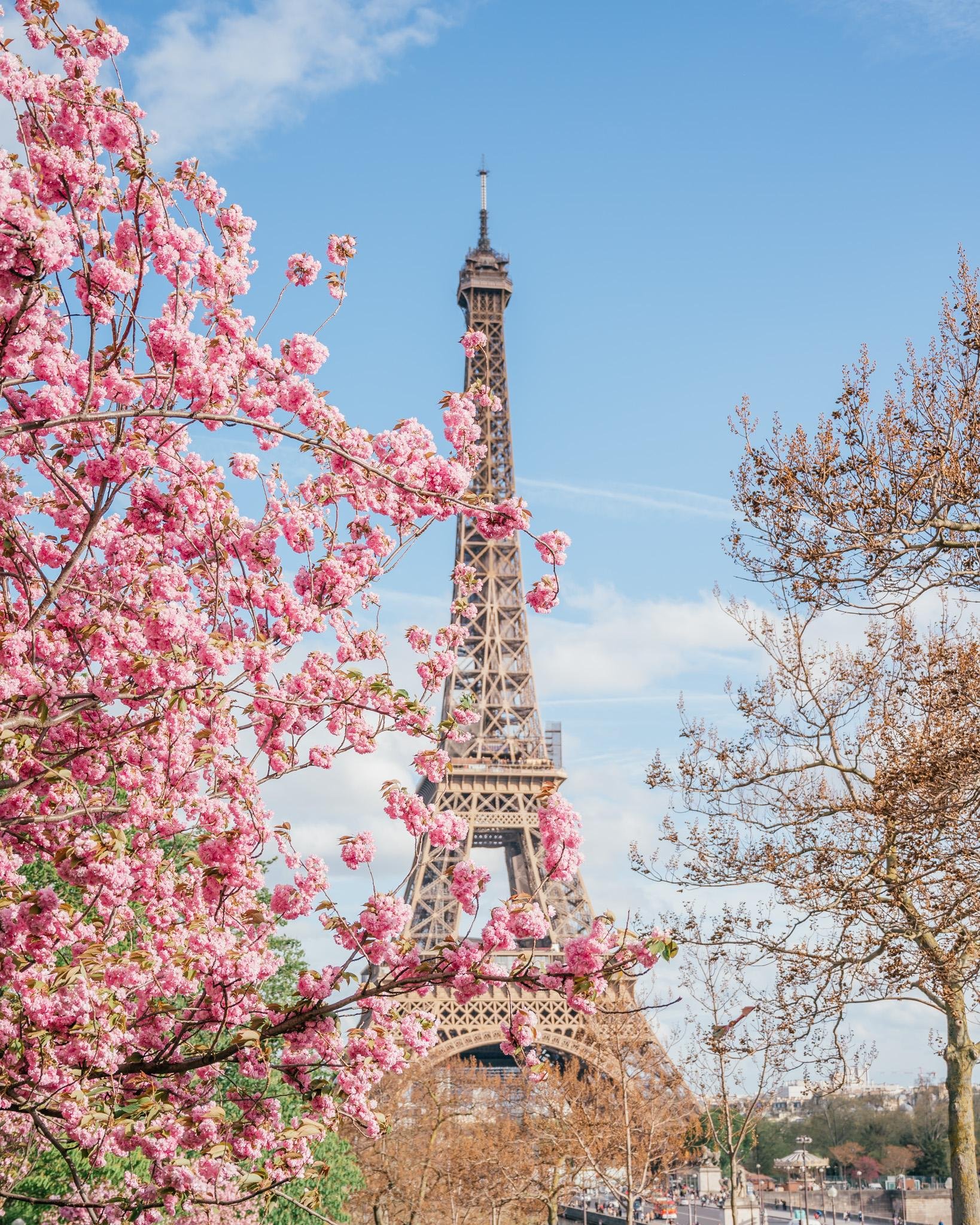 What It's Like to Go to the Top of the Eiffel Tower - Into the Bloom