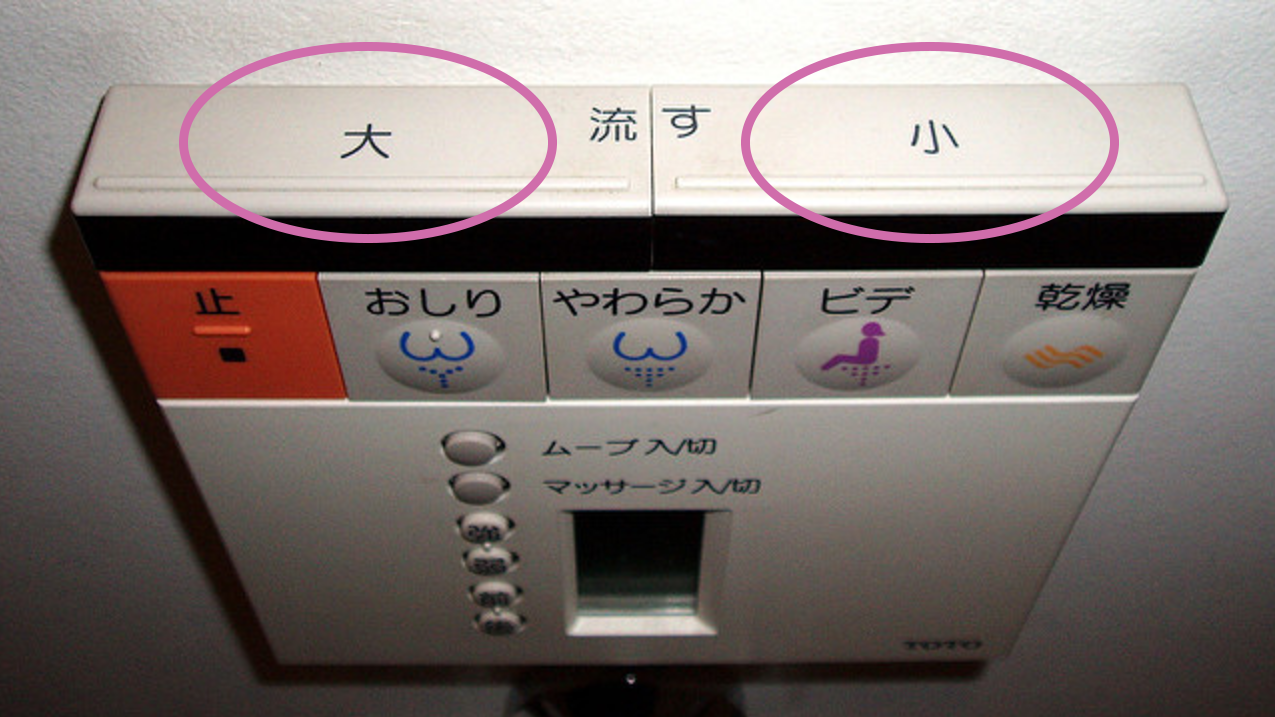 Left button is 'Big Flush', right button is 'Small Flush'