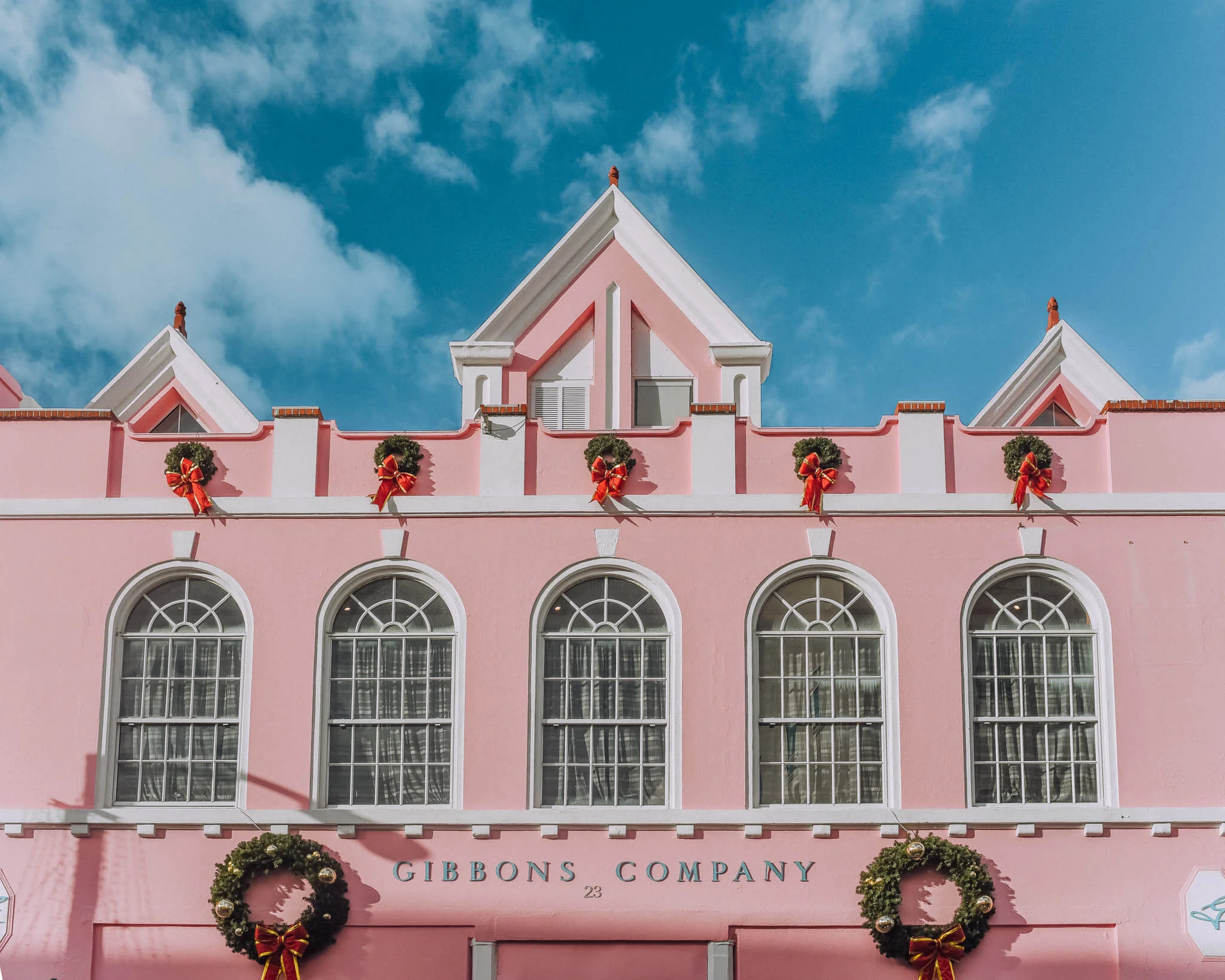 PinkBermuda.jpg