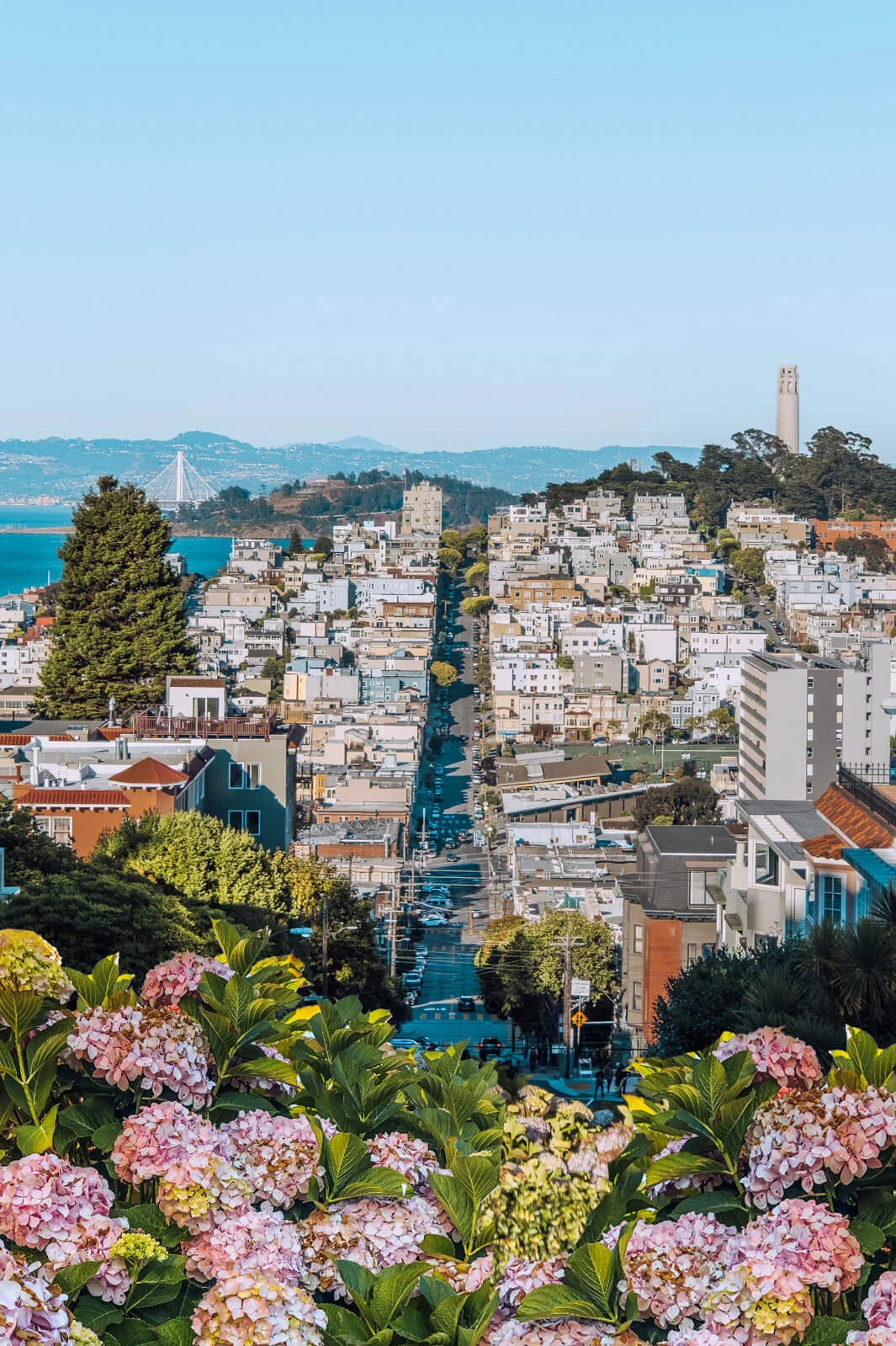 Taken with Fujifilm X-T30 - San Francisco, CA