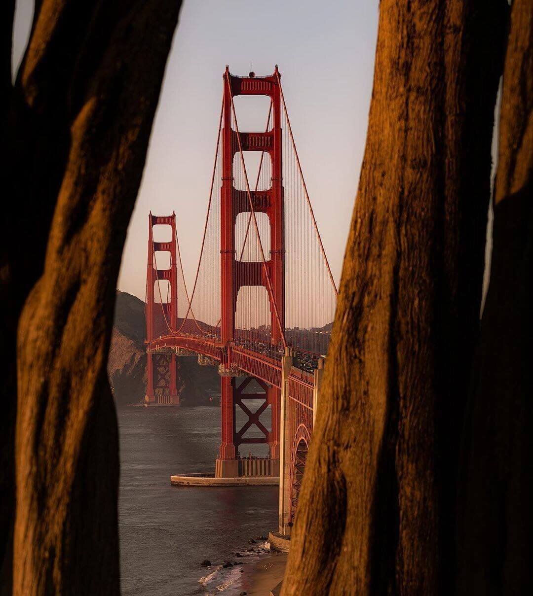 Best Time To Visit San Francisco