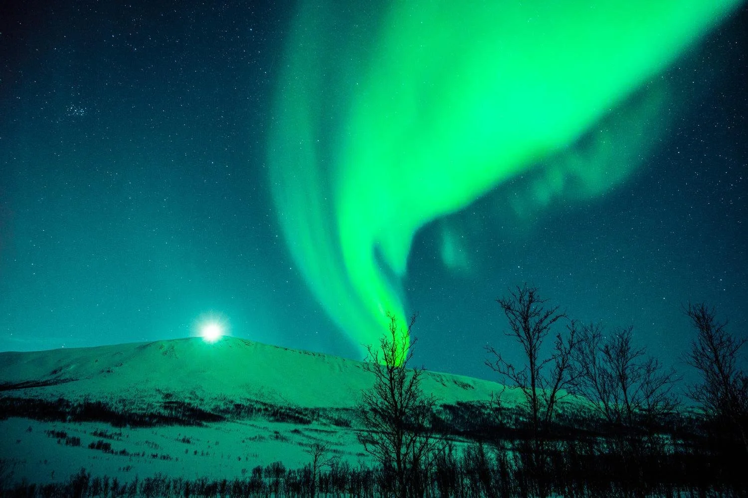 Viking Cruises - Search For The Northern Lights