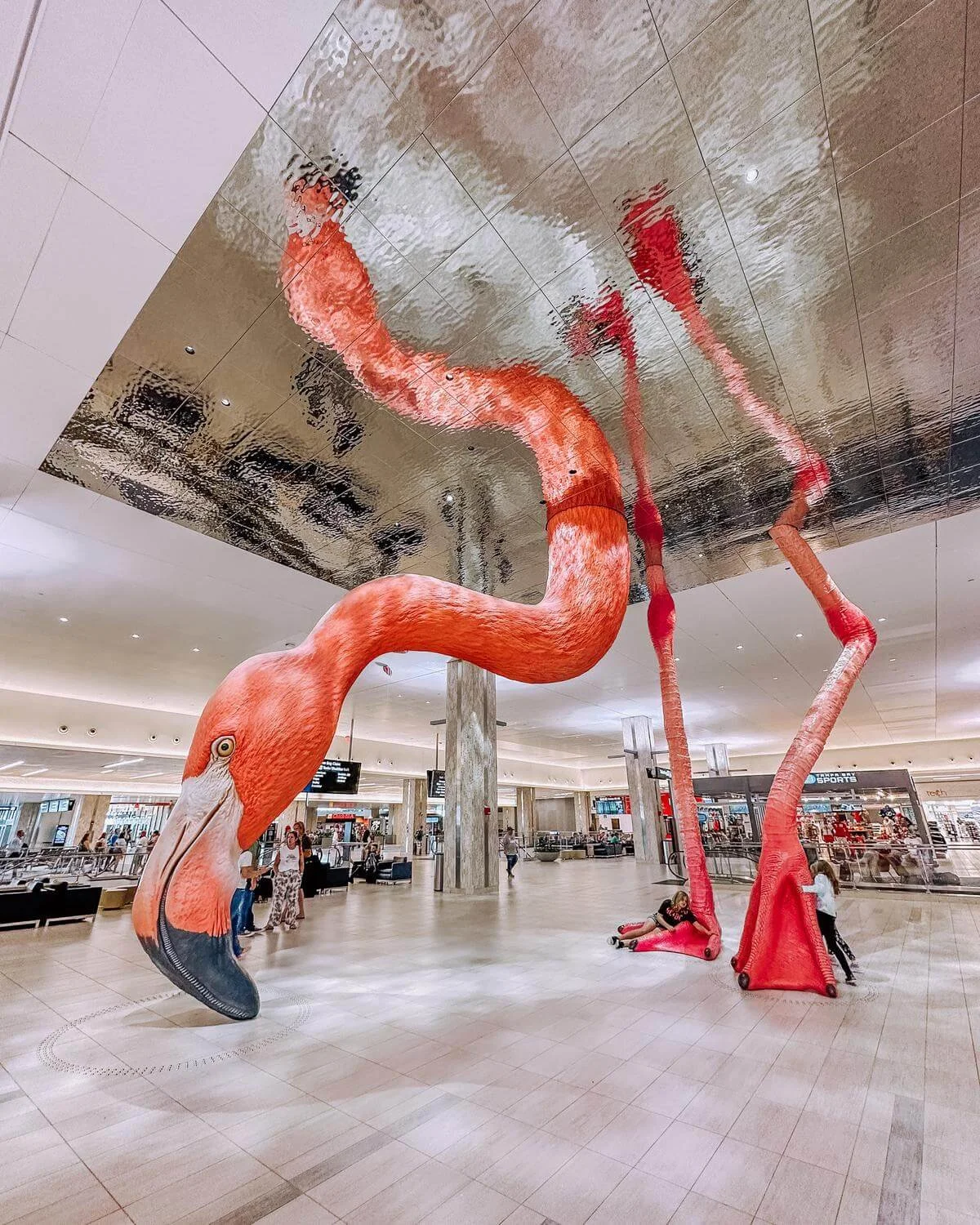 Most Instagrammable Spots in Tampa,  Florida