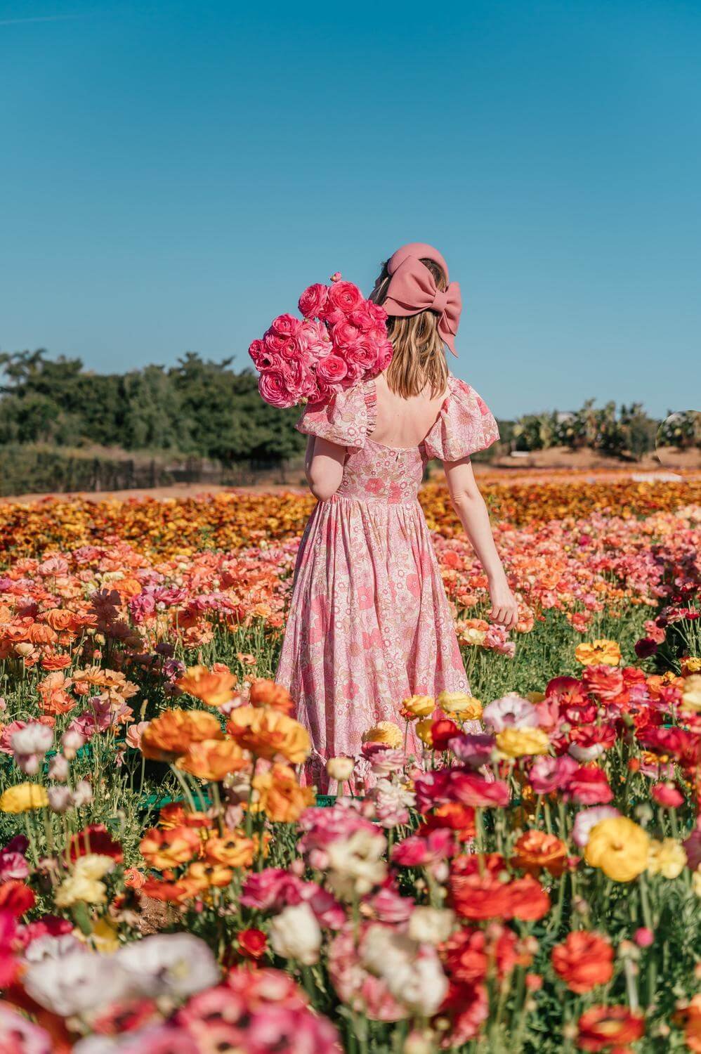 travel flowers