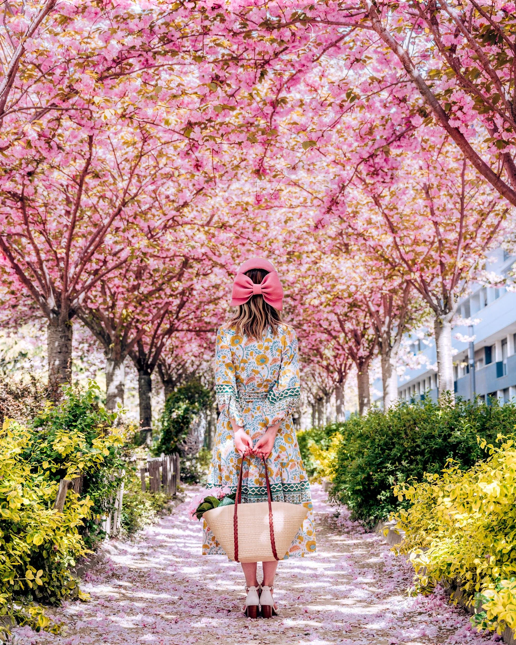 Best Places For Cherry Blossoms In Paris — This Life Of Travel