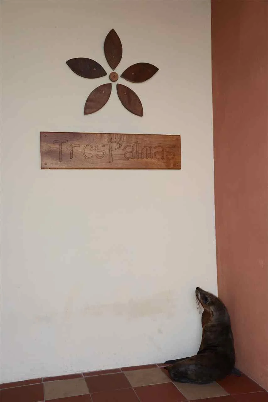 Entrance.jpg