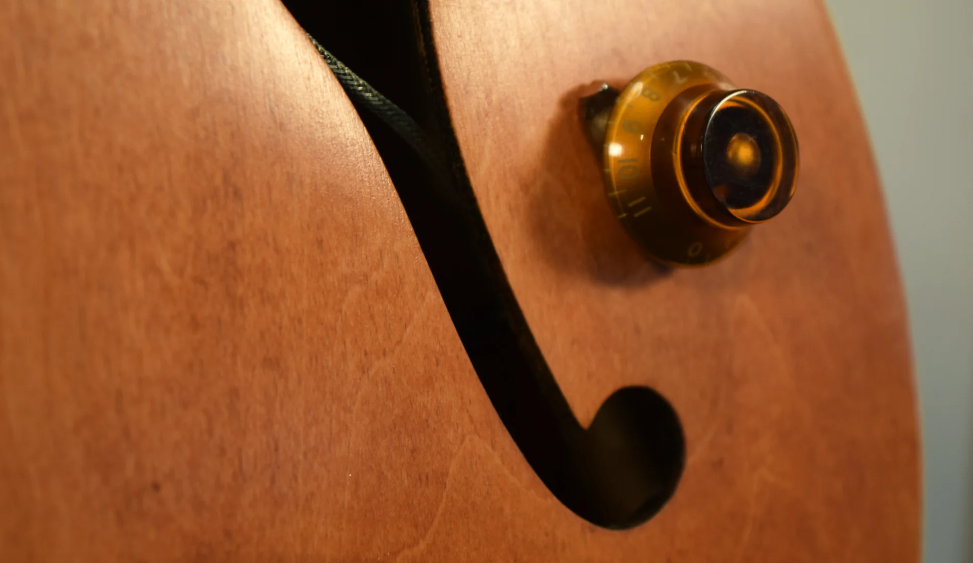 Gibson_333_detail.jpg