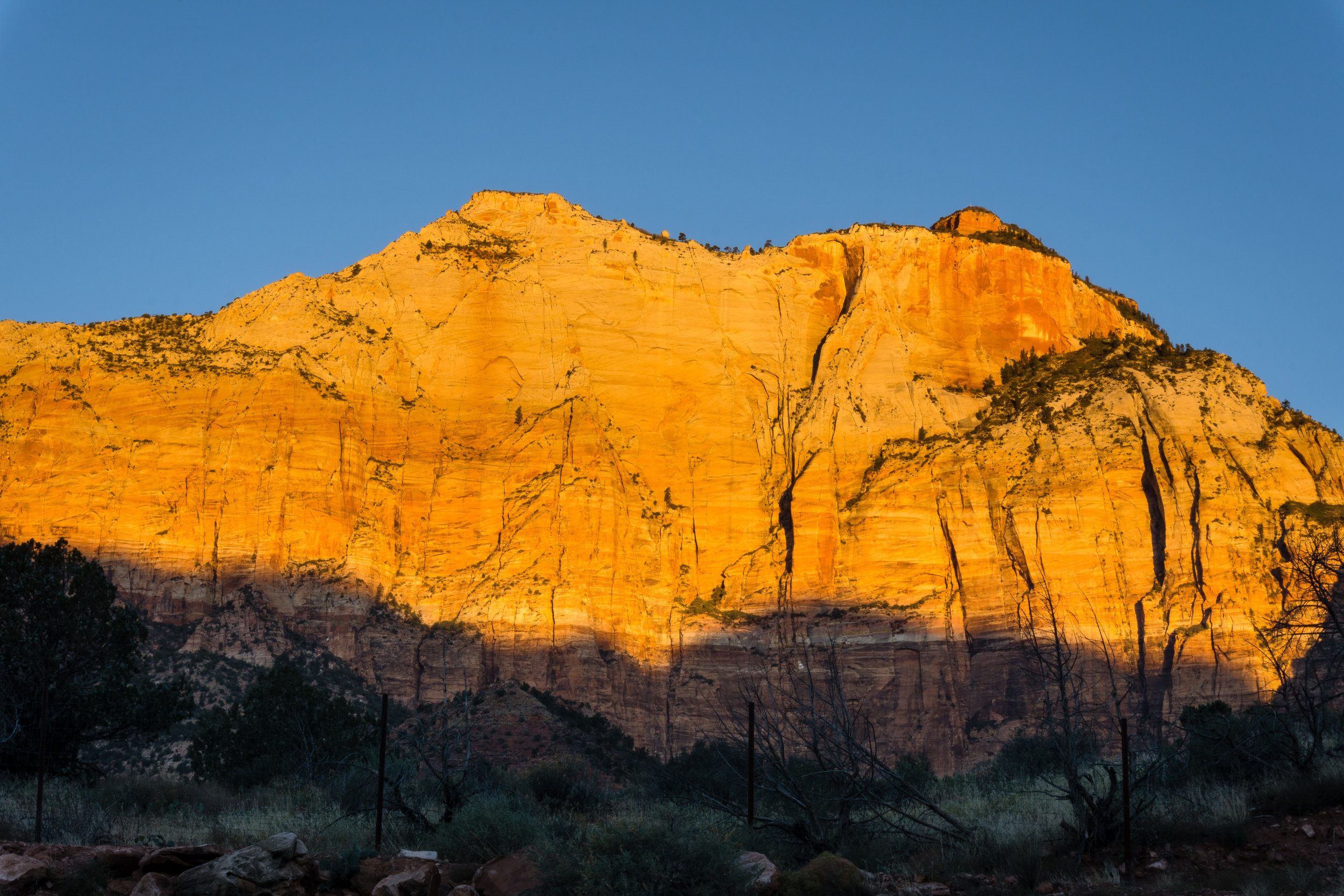 Morning Glow - Springdale