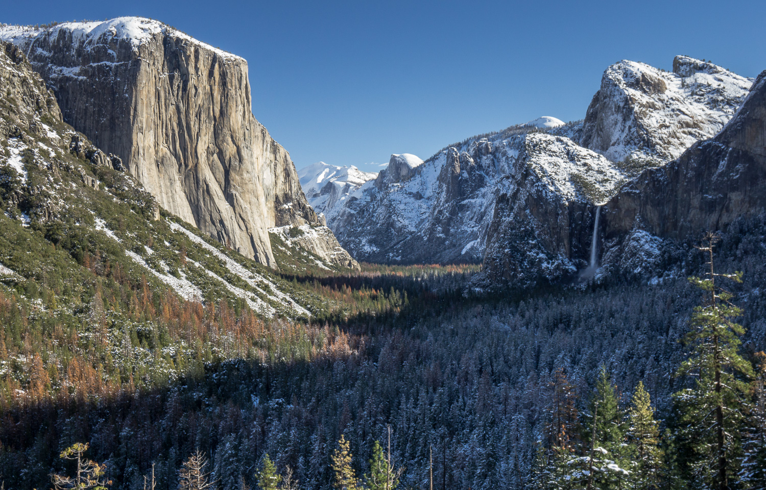 Snowy Tunnel - Yosemite National Park
